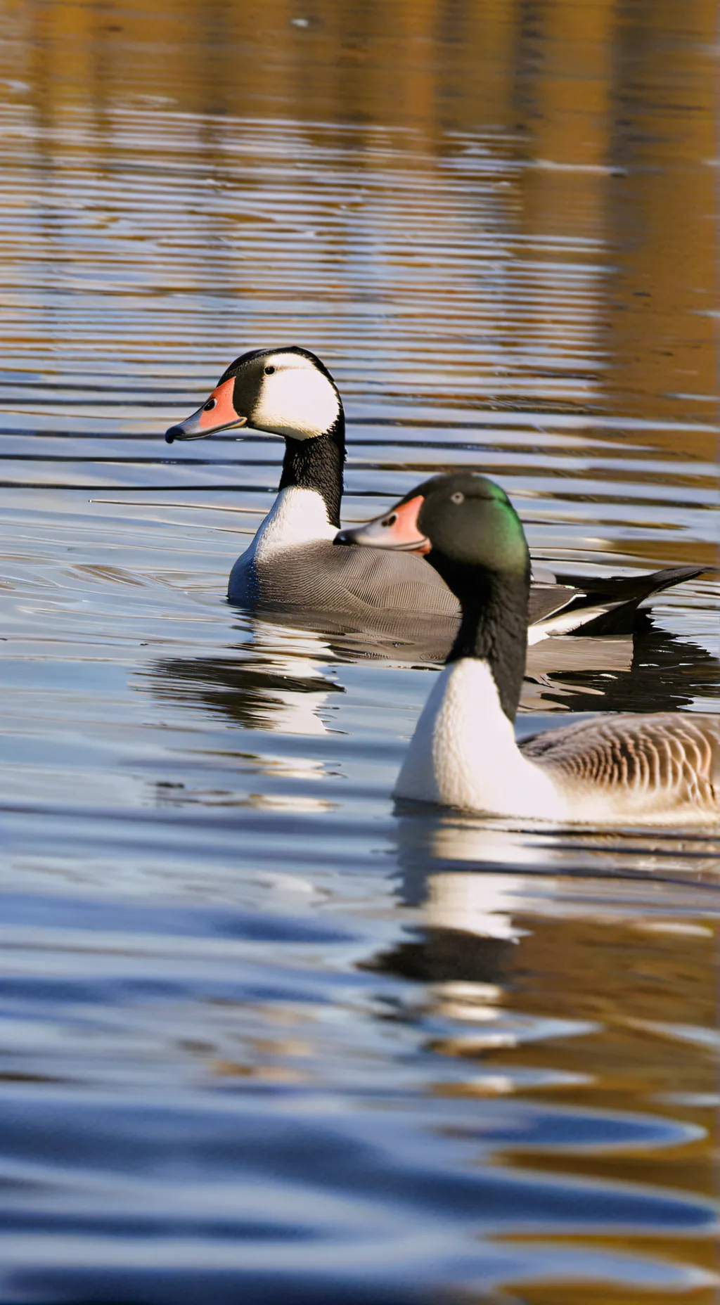 ai character: angry goose background