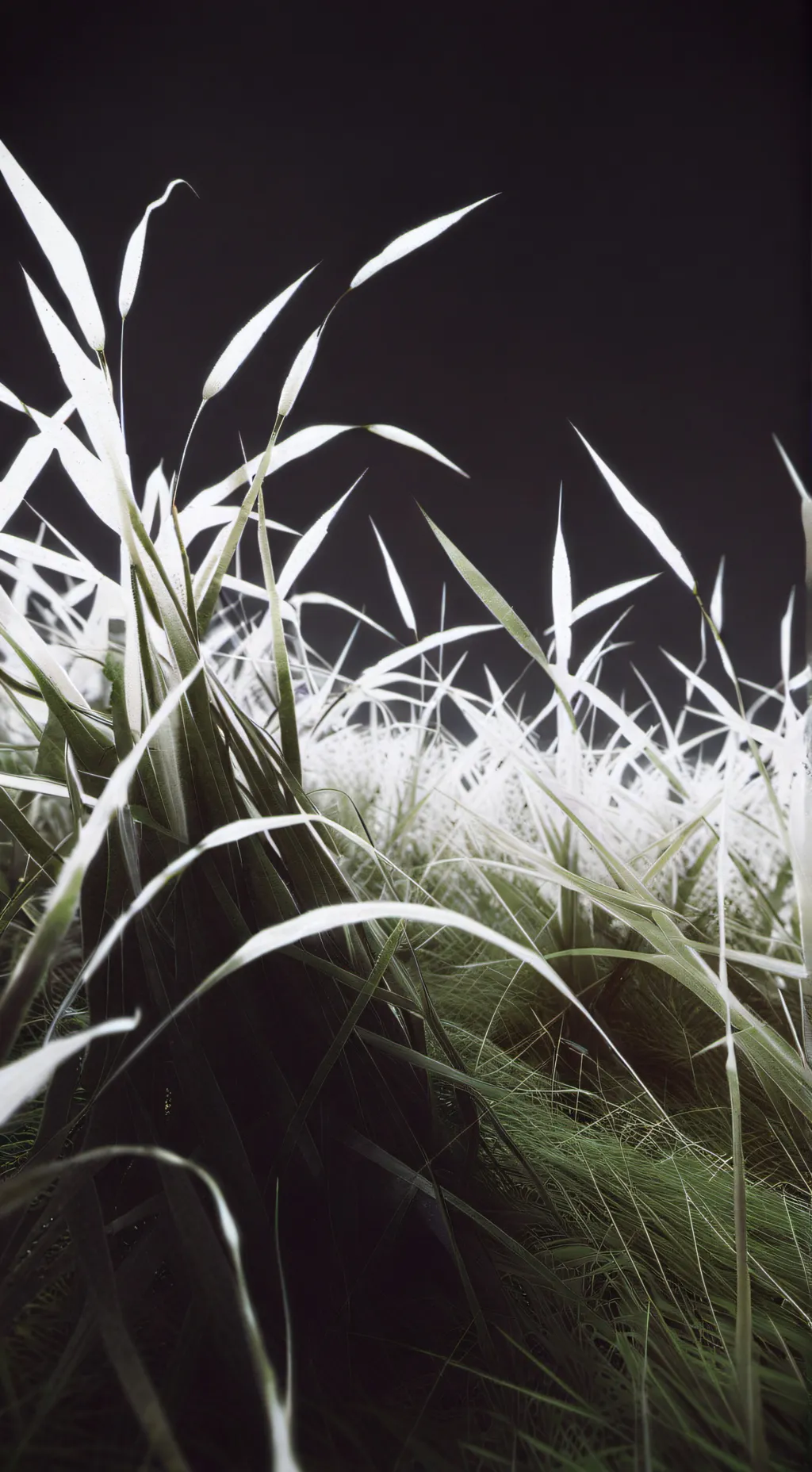 ai character: Touch Grass background