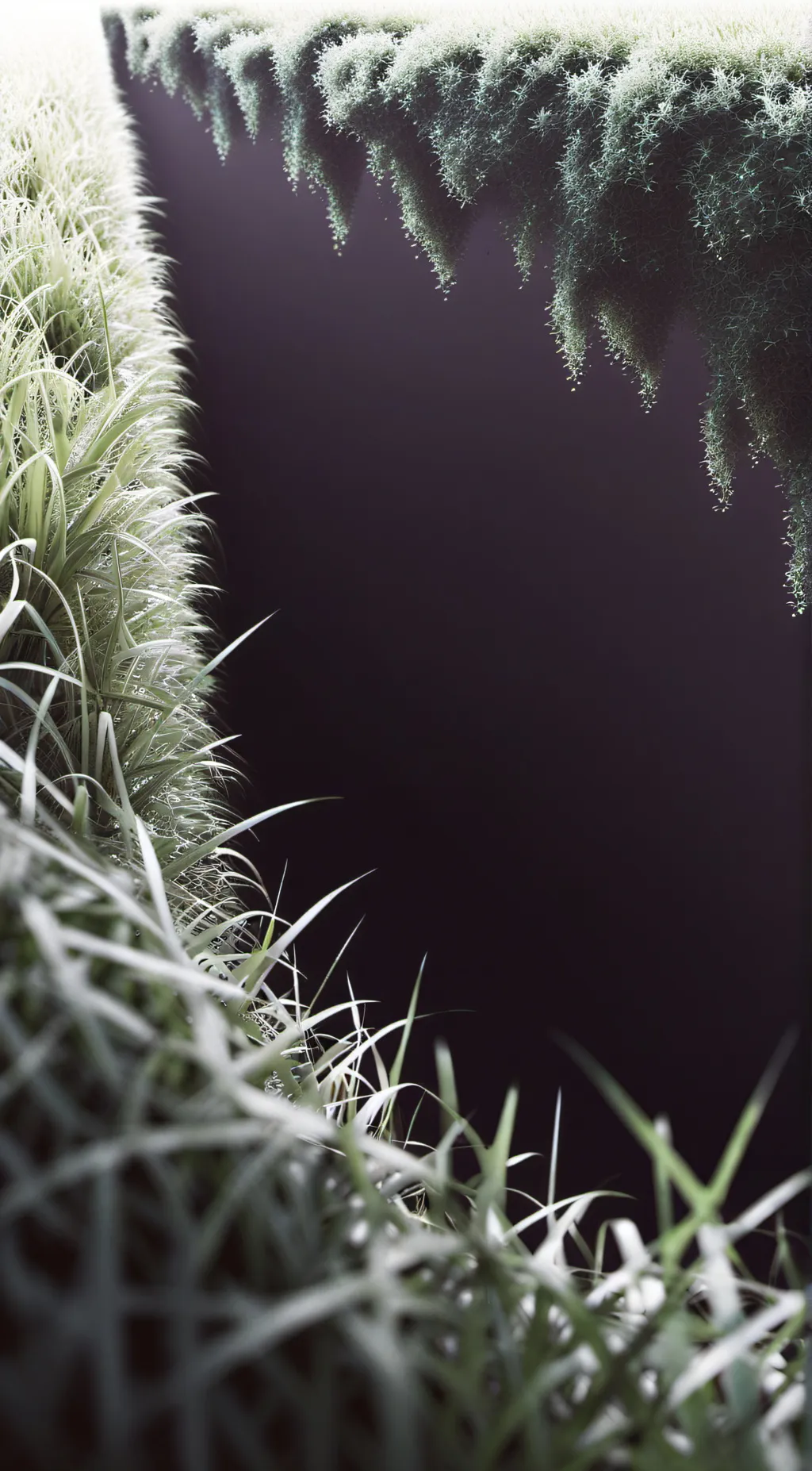 Talkie AI - Chat with ~touch some grass~