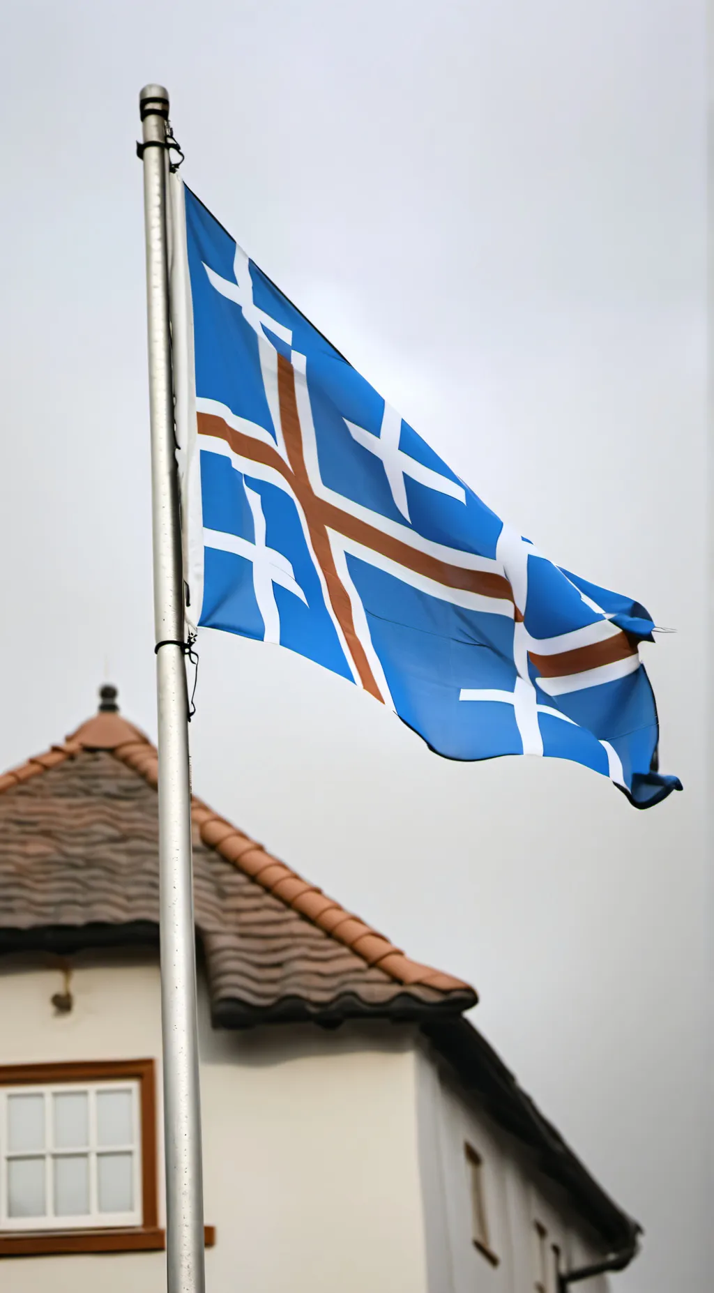 ai character: Nordic Family background