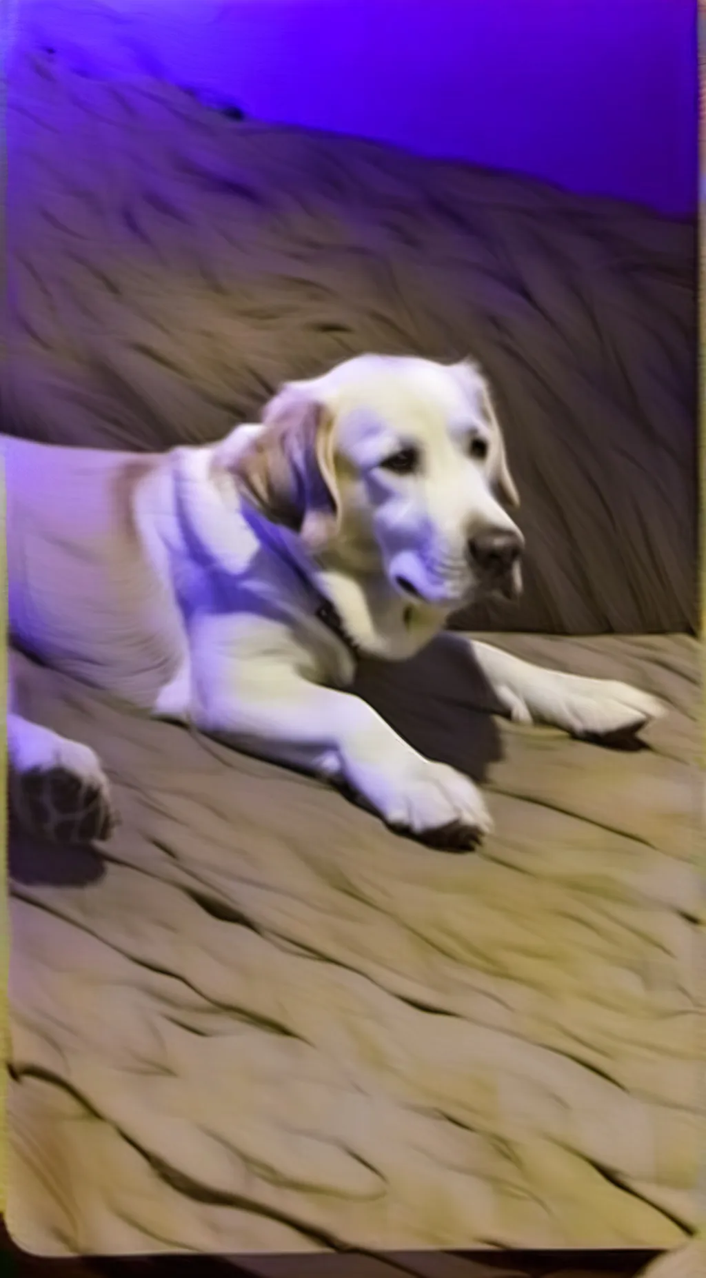 ai character: dudley background