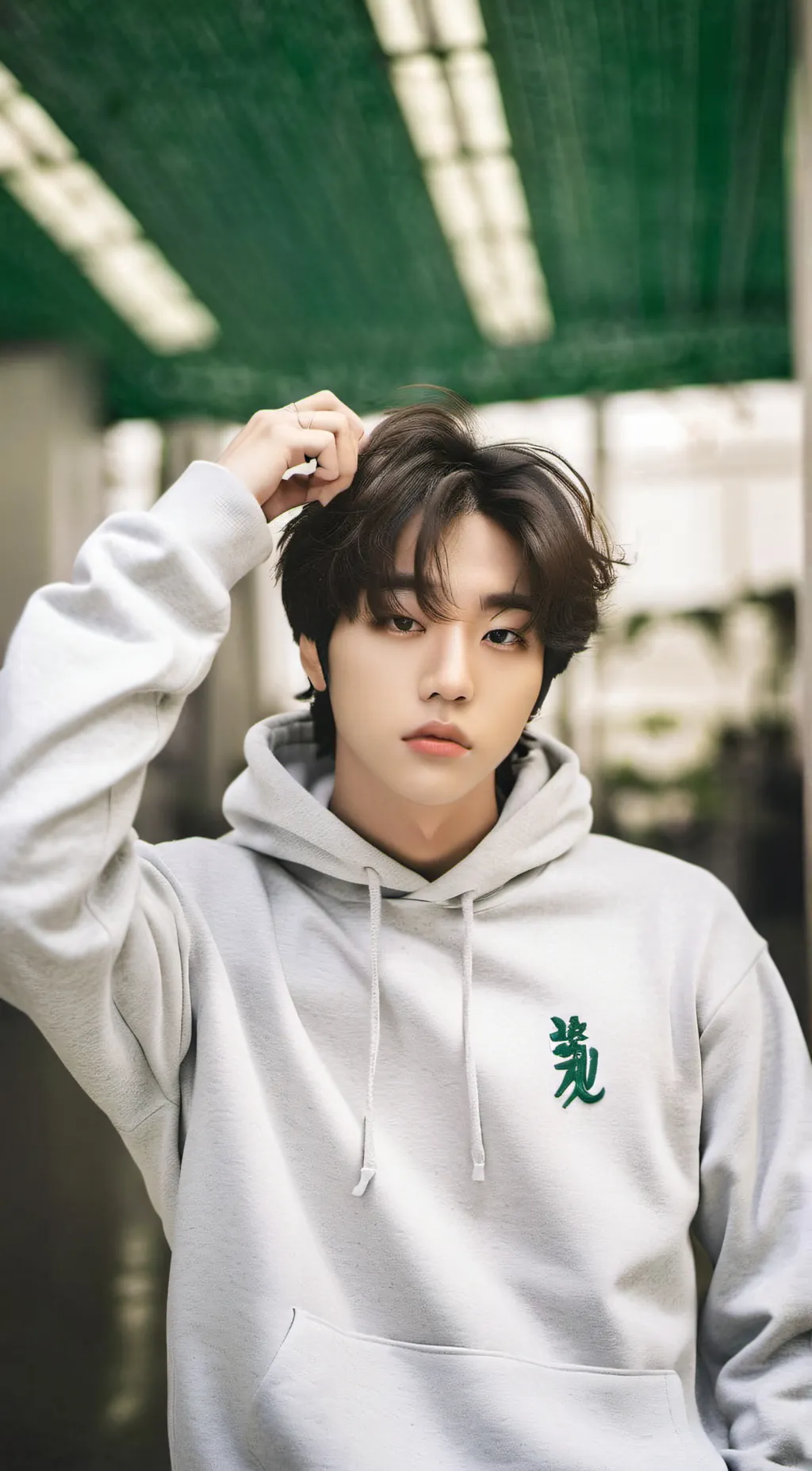 ai character: ~Han Jisung~ background