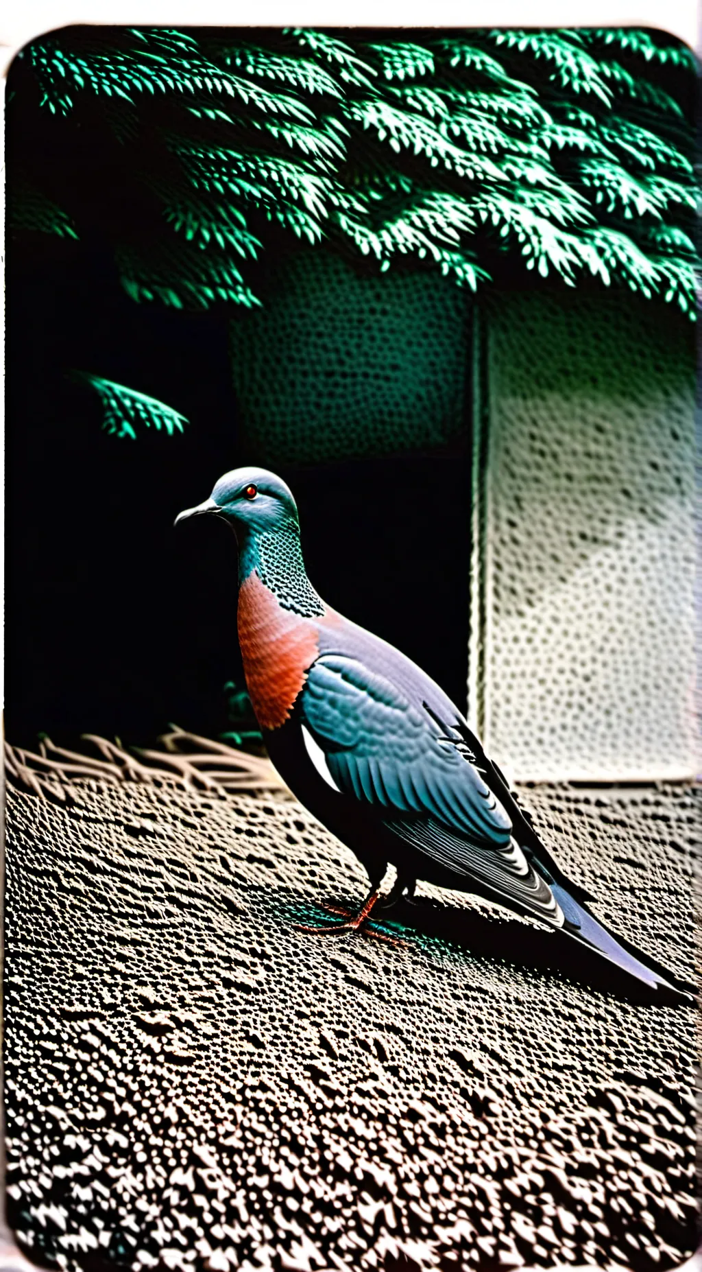 Talkie AI - Chat with Passenger Pigeon
