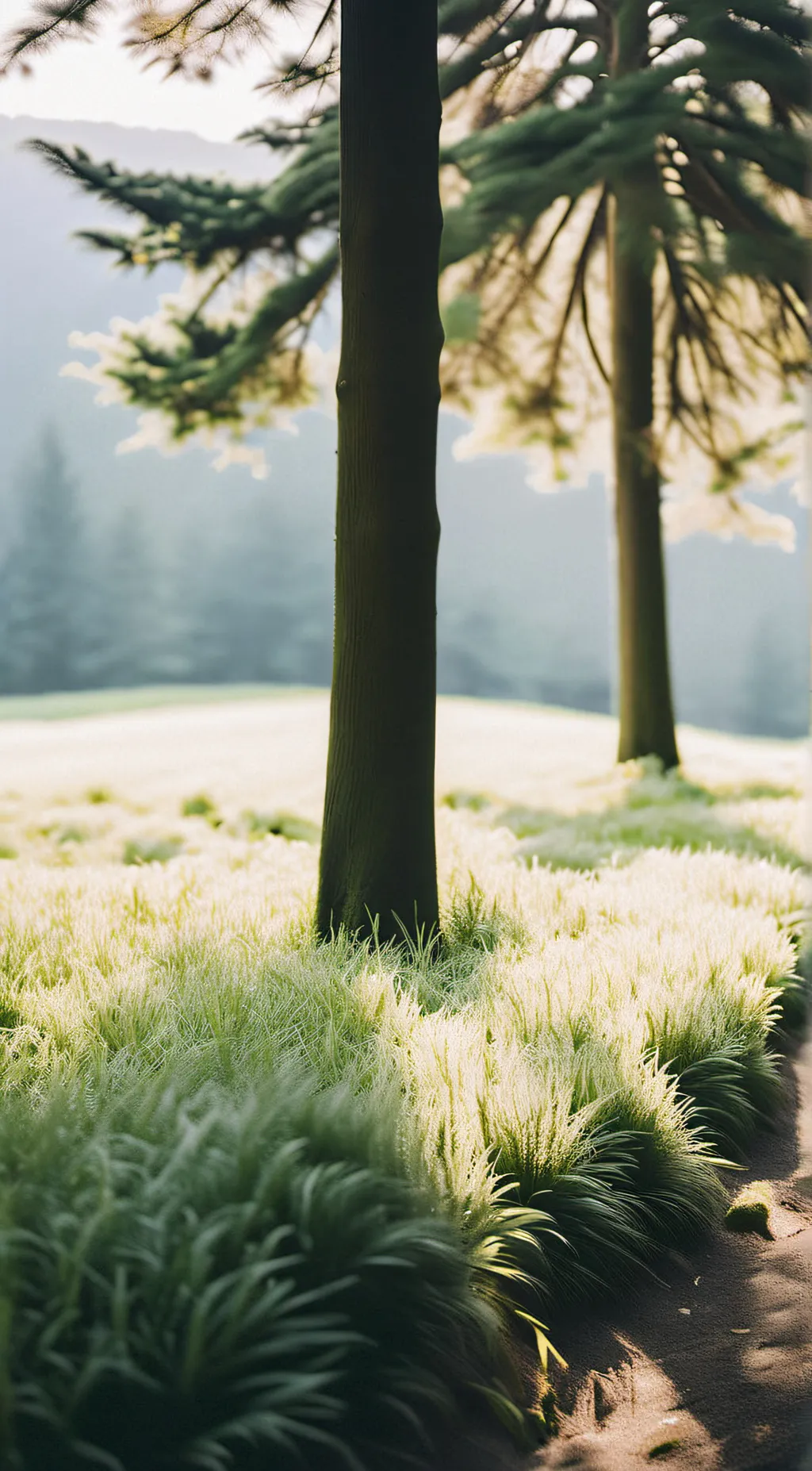 ai character: Mr. Tree and grass background