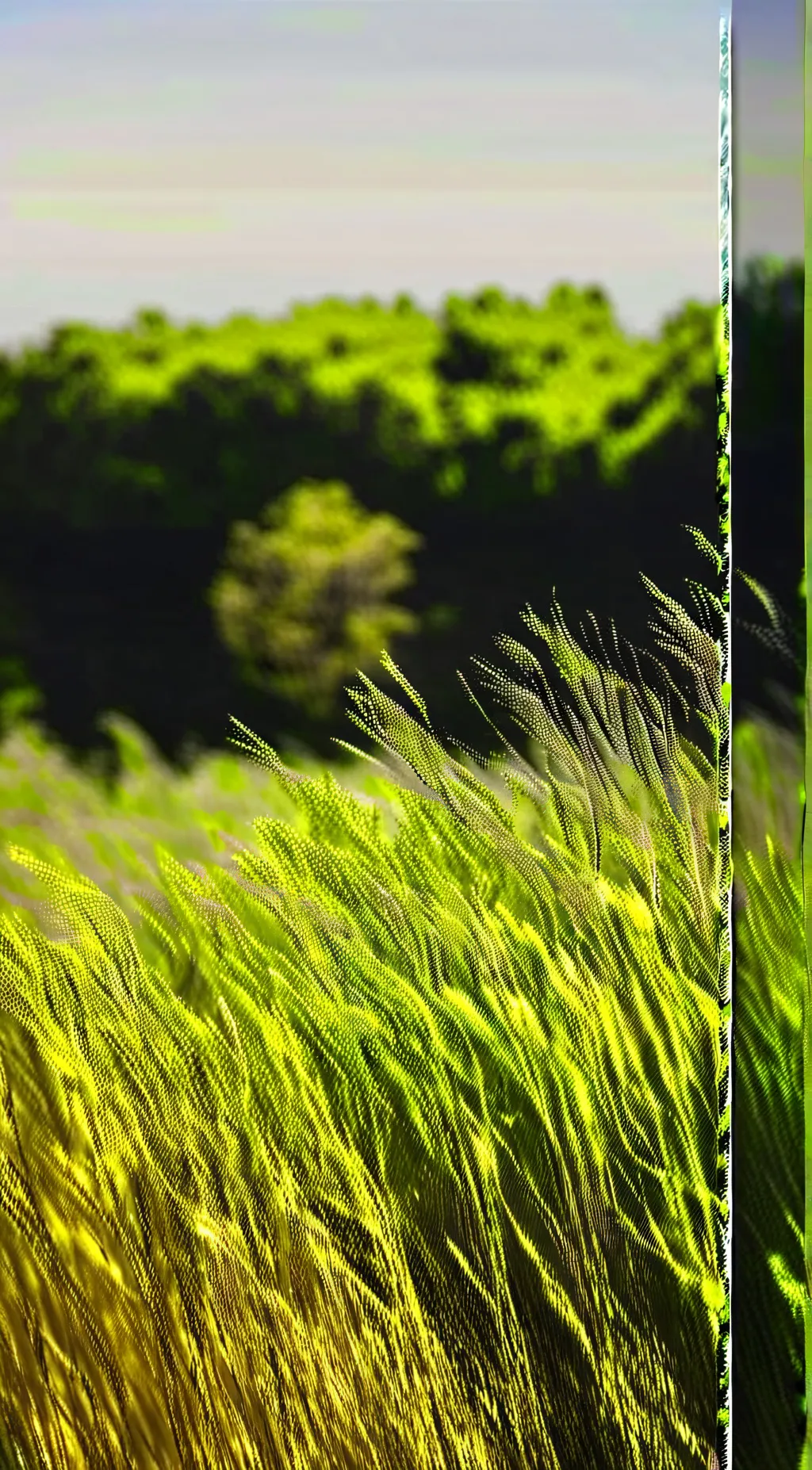 ai character: Grass  background