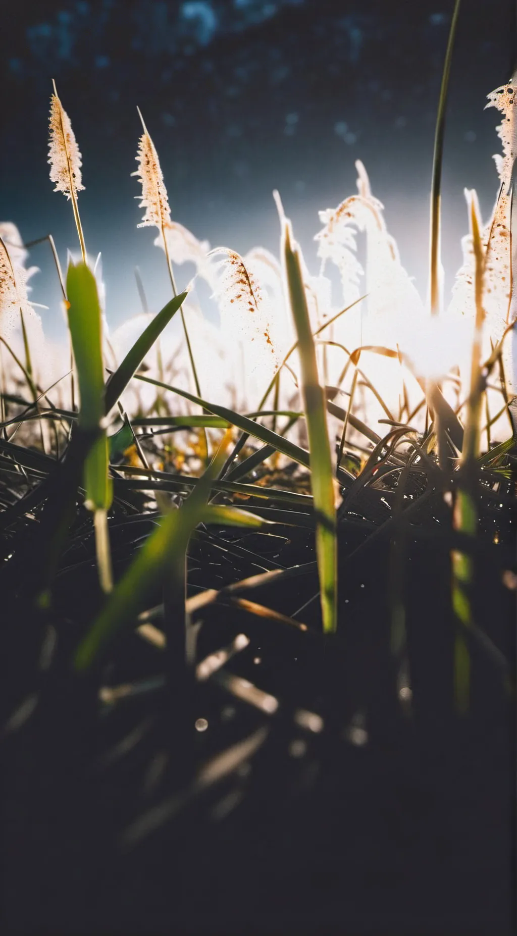 Talkie AI - Chat with GO TOUCH GRASS