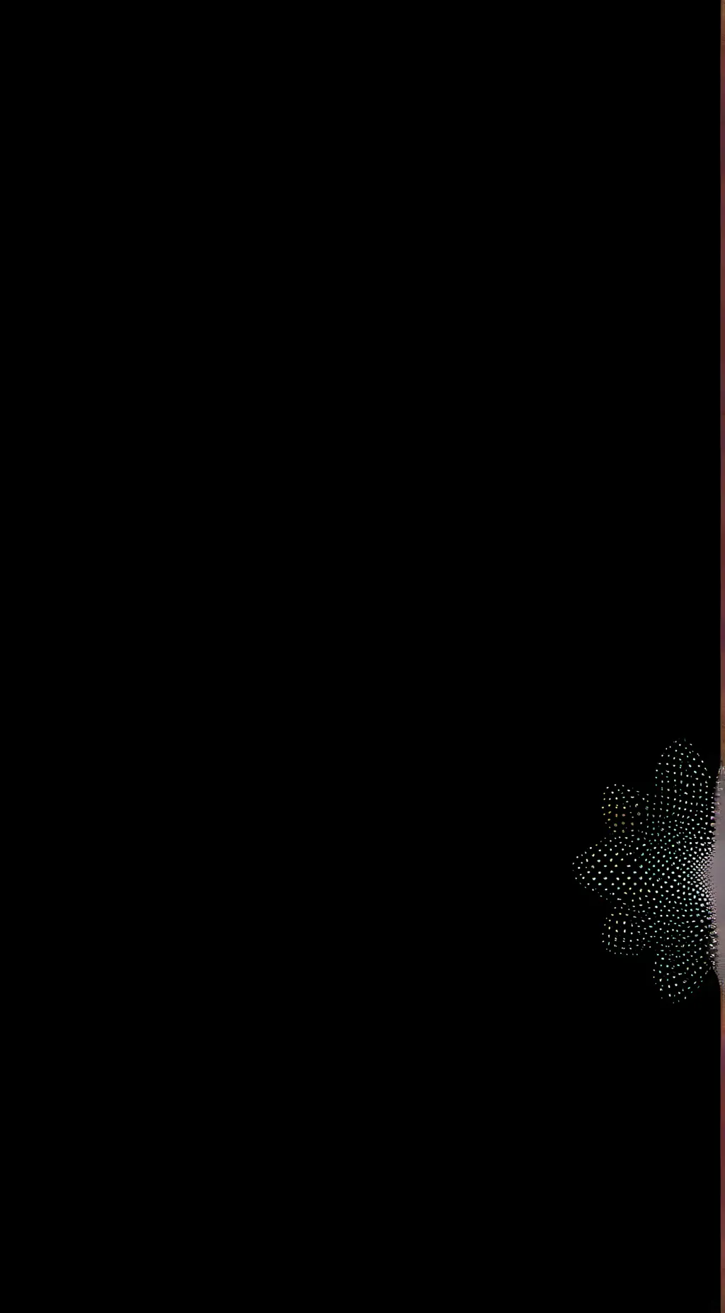 ai character: Chara background