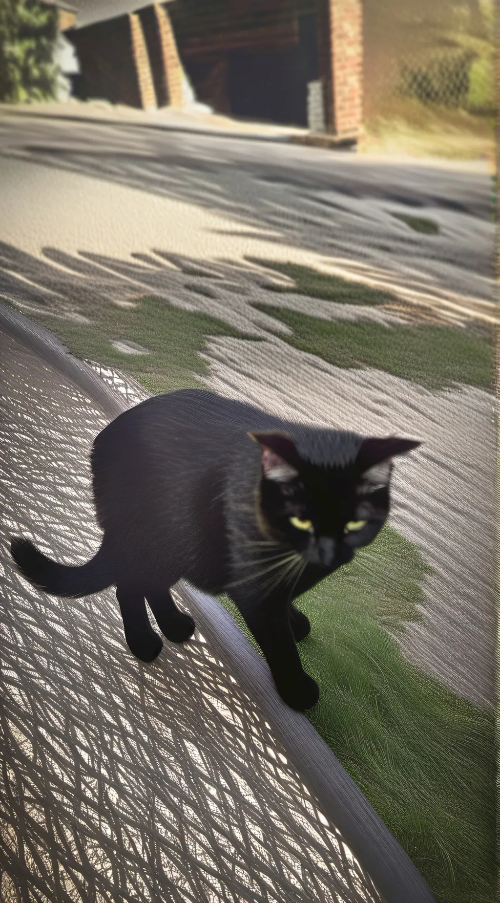 ai character: I need talkie idea background