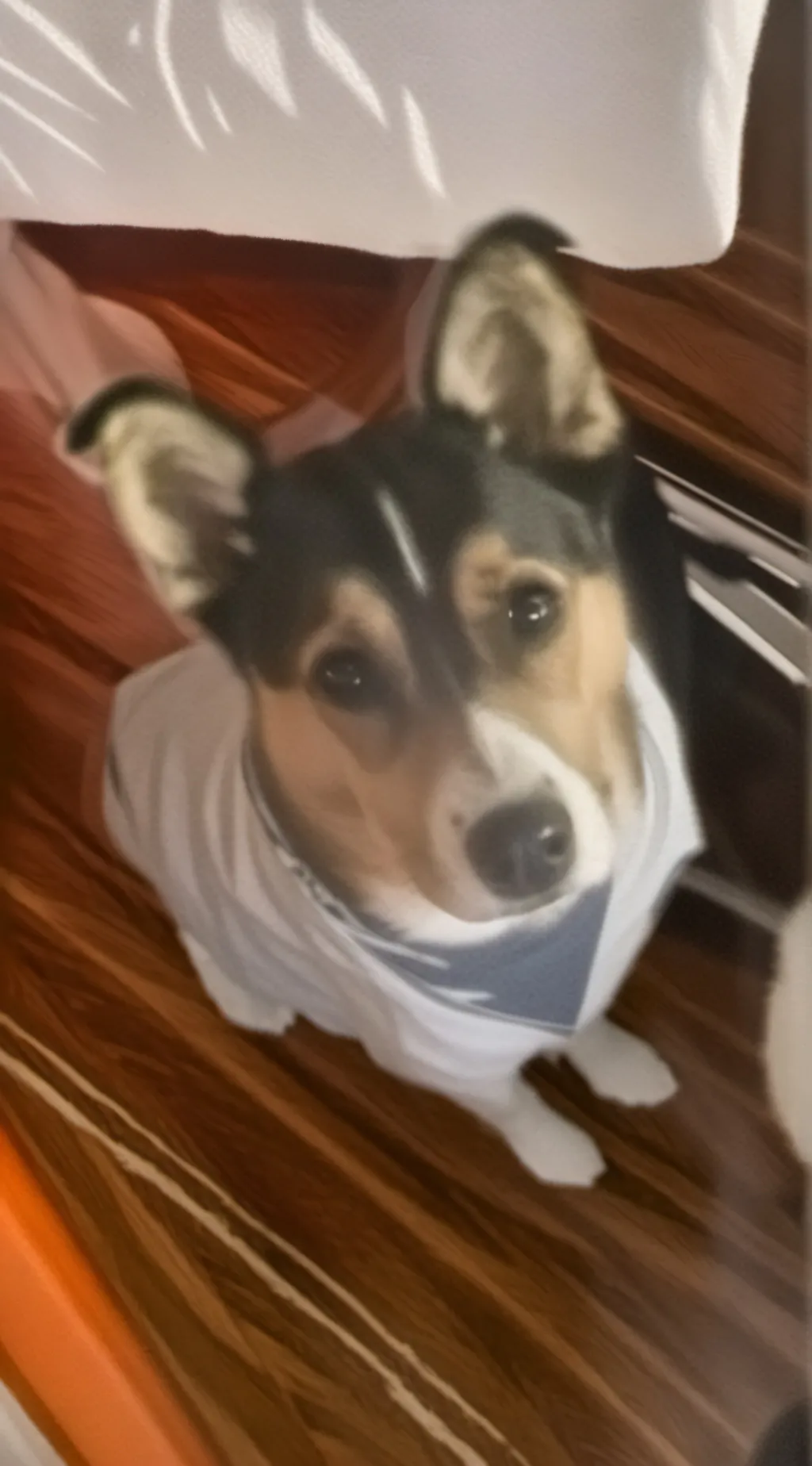 ai character: Jax background