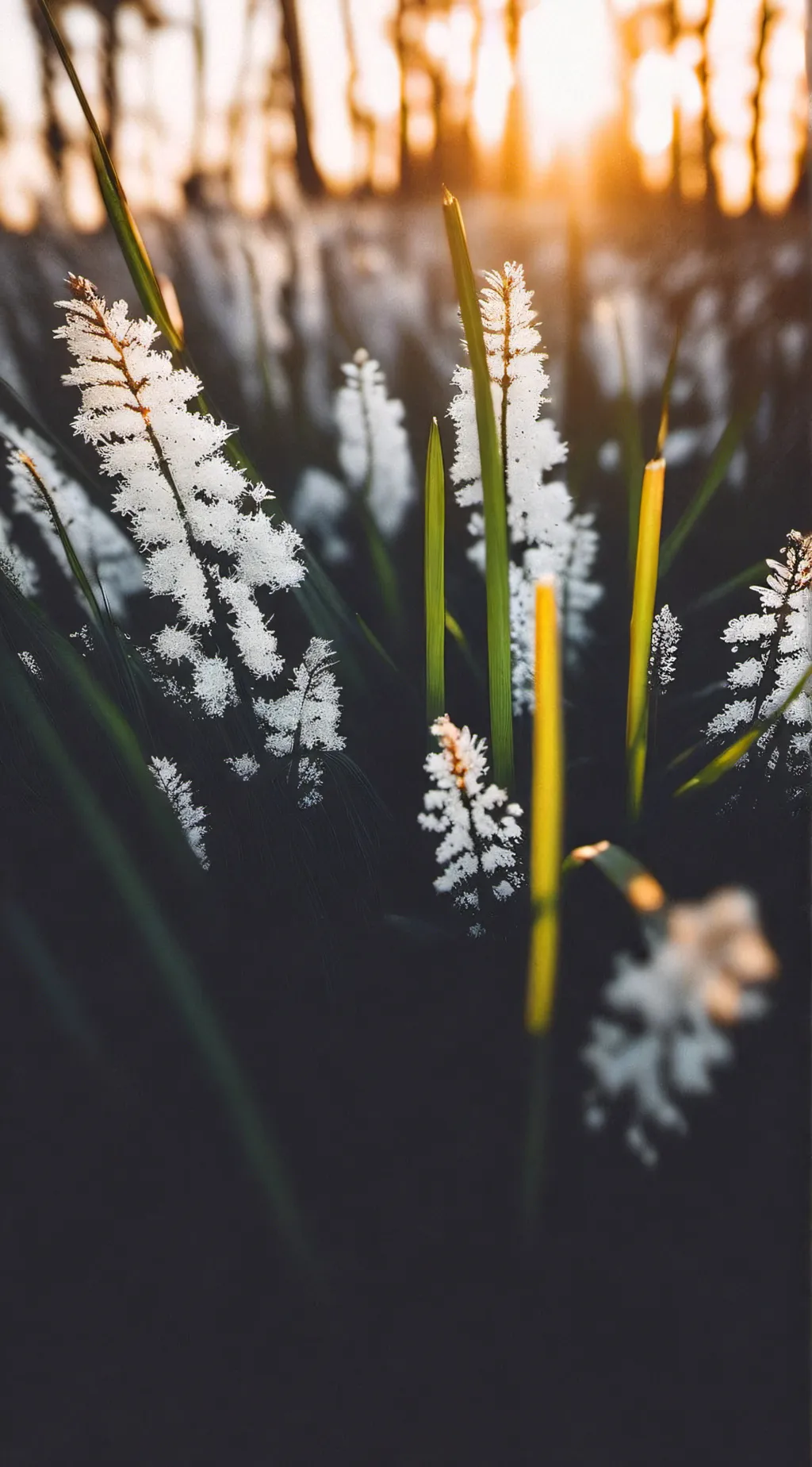 ai character: grass background