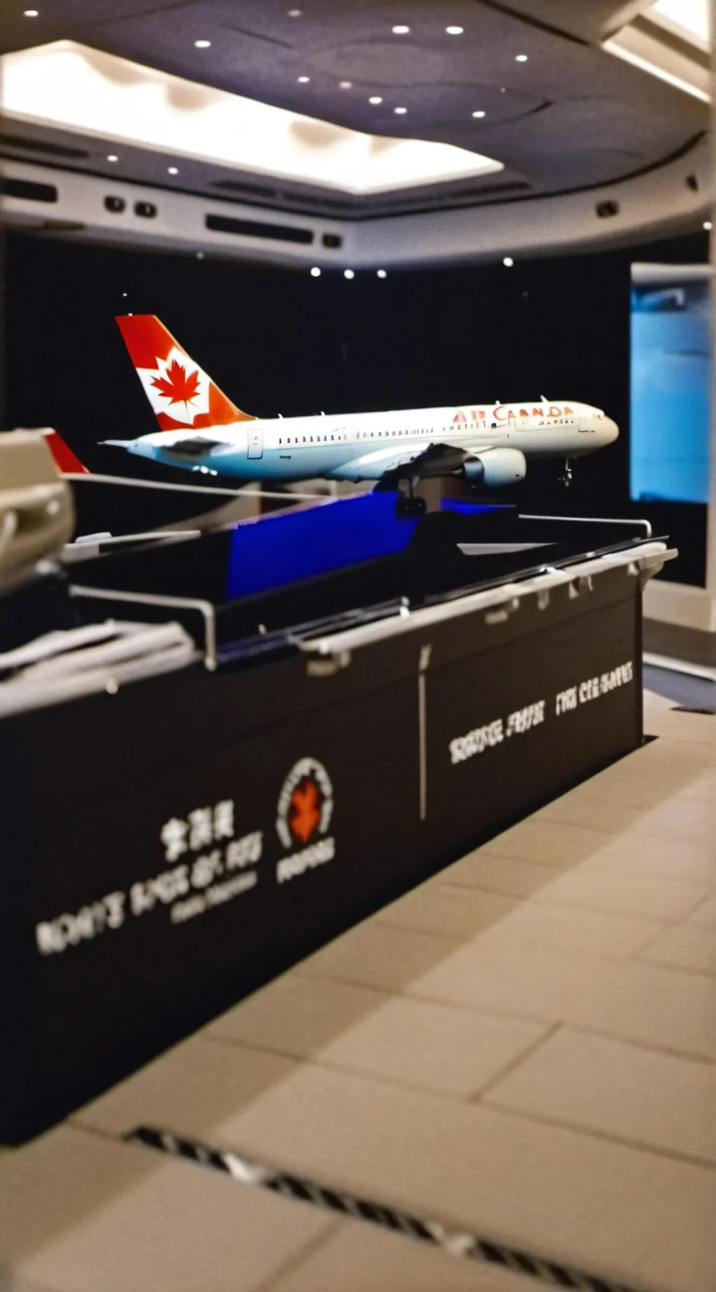 ai character: Air Canada 143 background