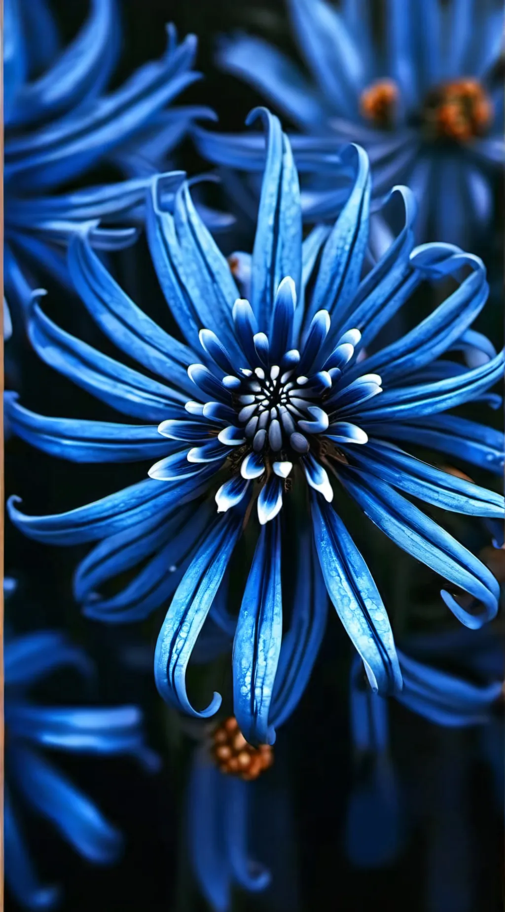 ai character: Blue Spider lily background