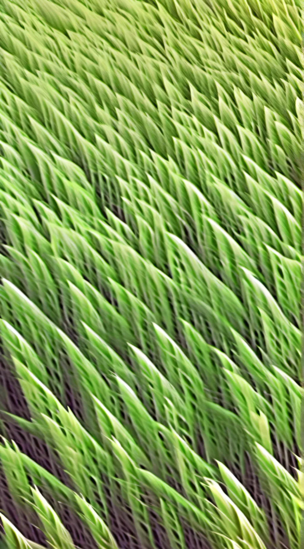 ai character: grass background