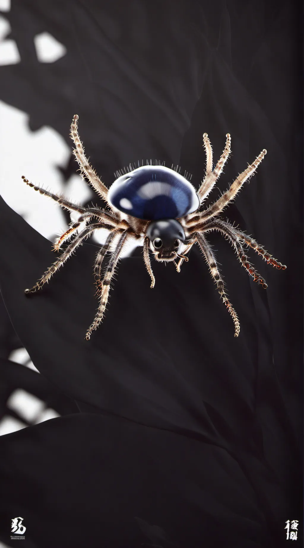ai character: Blueberry spider background