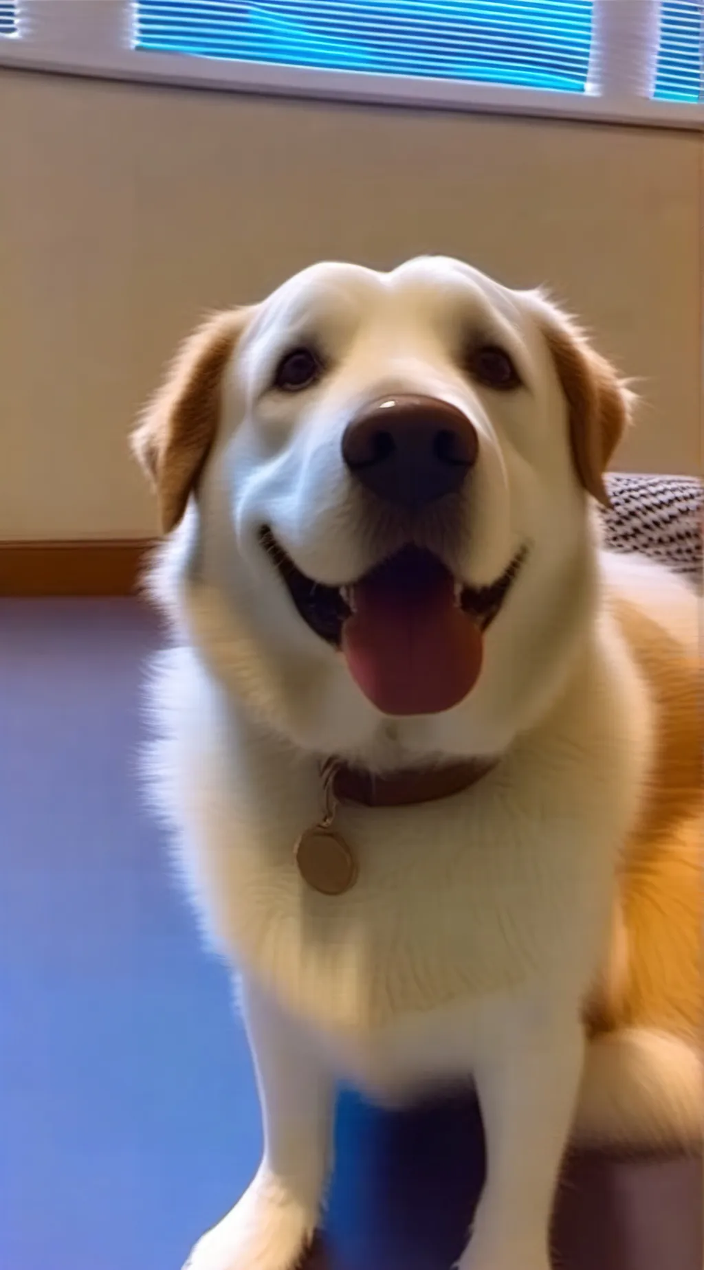 Talkie AI - Chat with Doggo