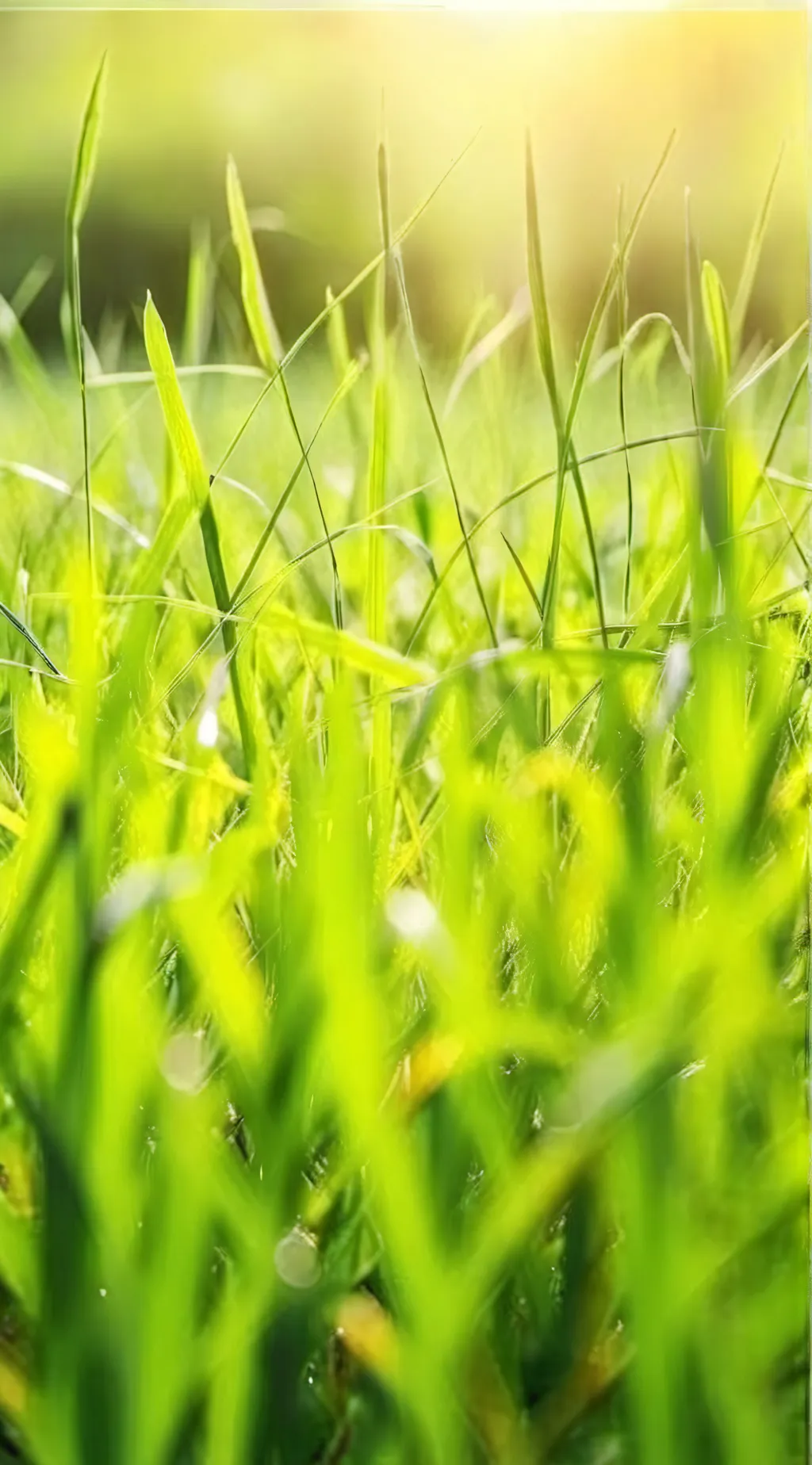 ai character: touch grass💀 background