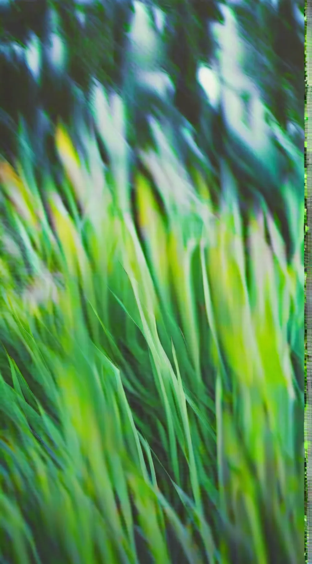 ai character: grass background