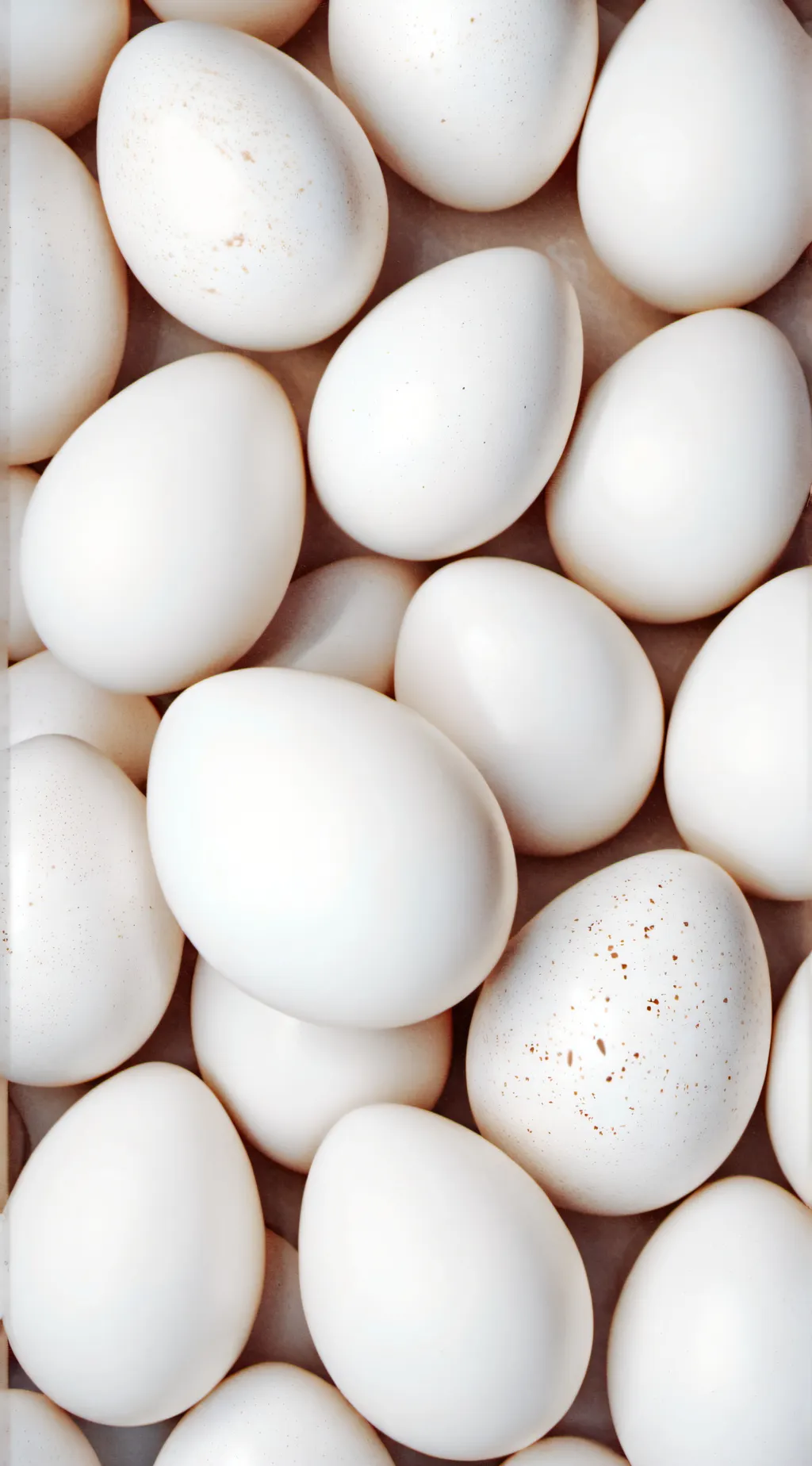 ai character: eggs background
