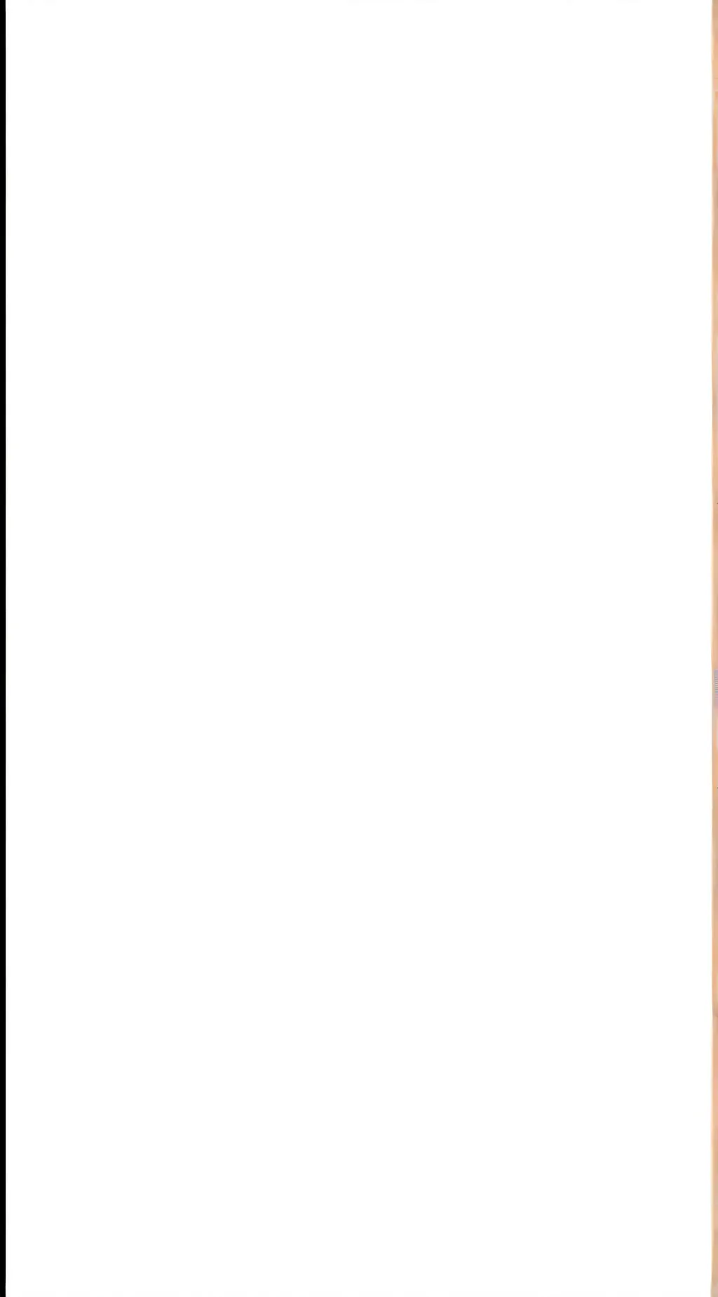 ai character: yes background