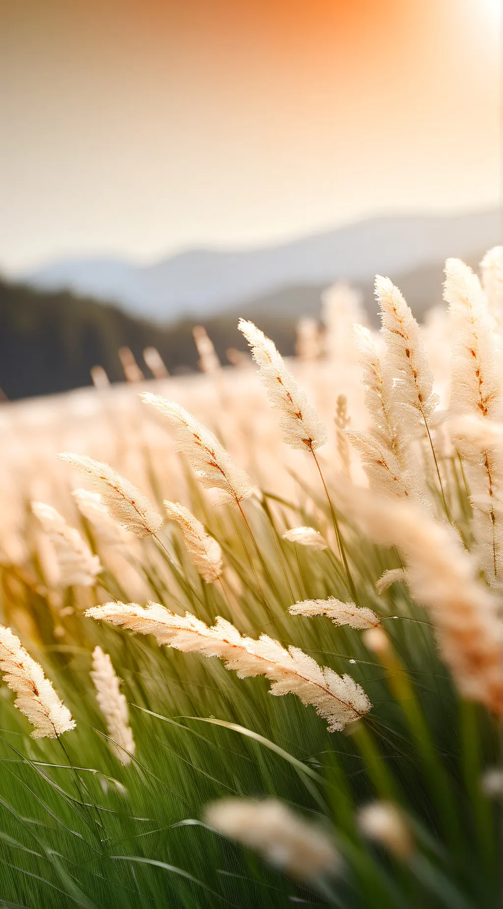 ai character: Grass background