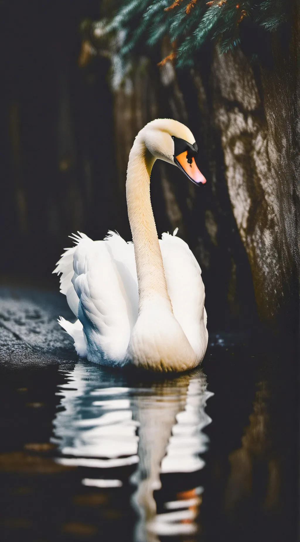 ai character: A  Swan background