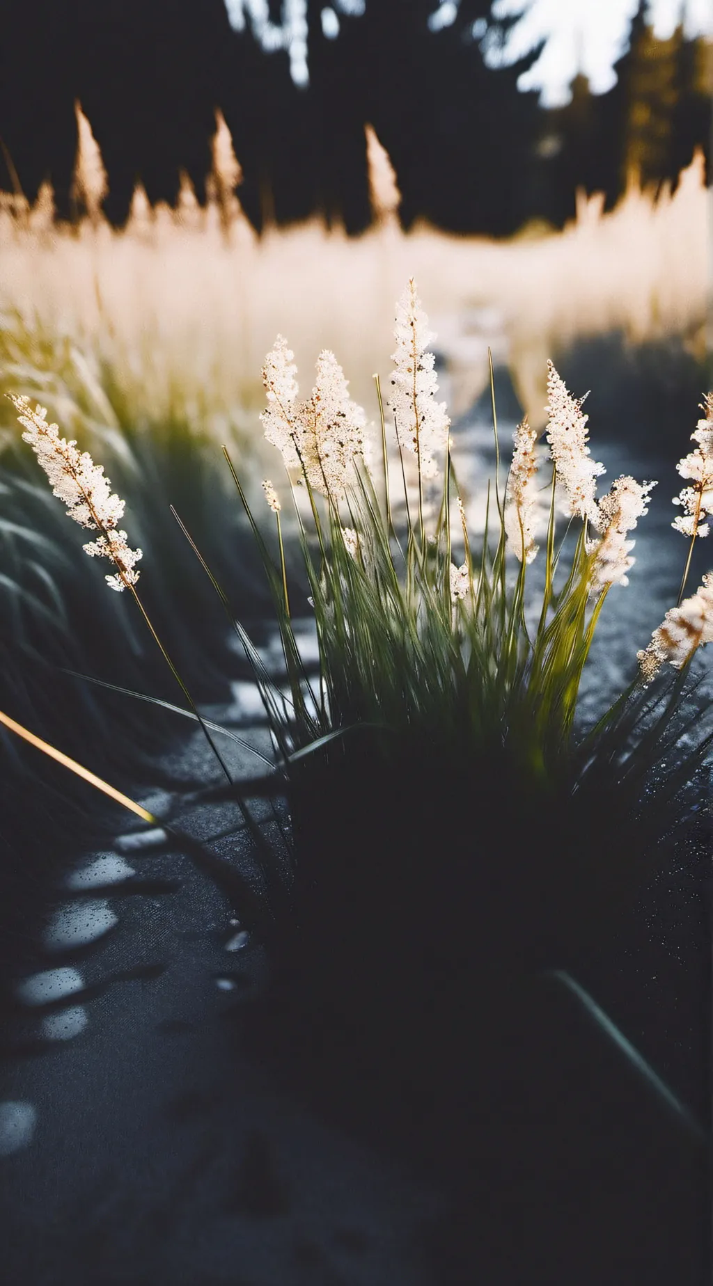 ai character: grass  background