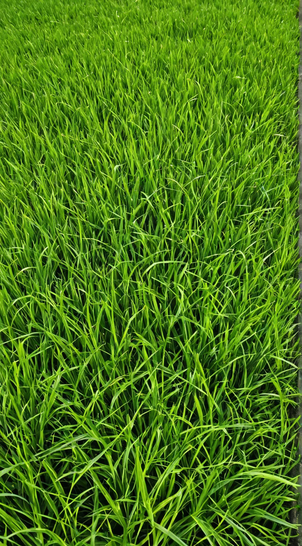 ai character: GRASS background
