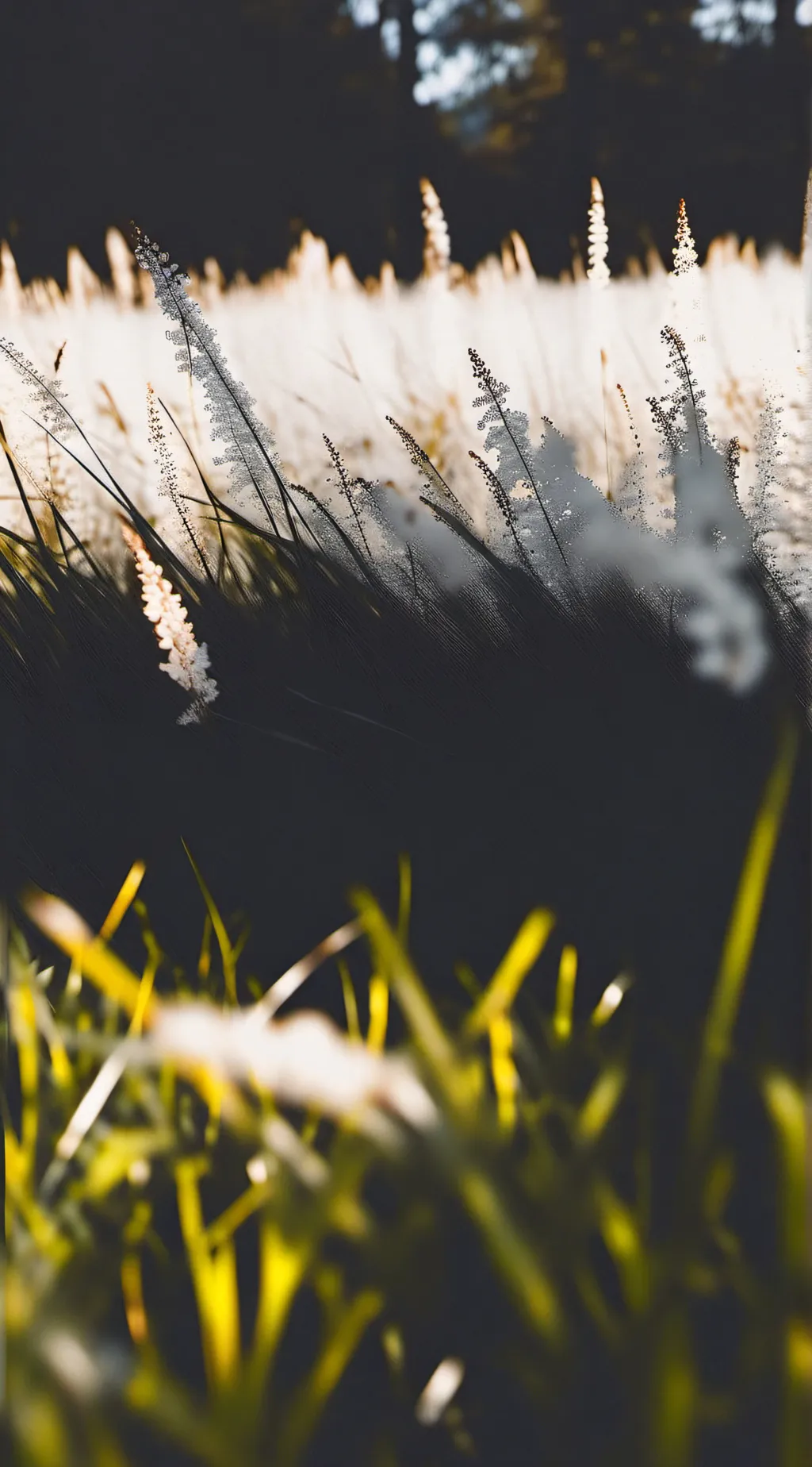 ai character: grass background