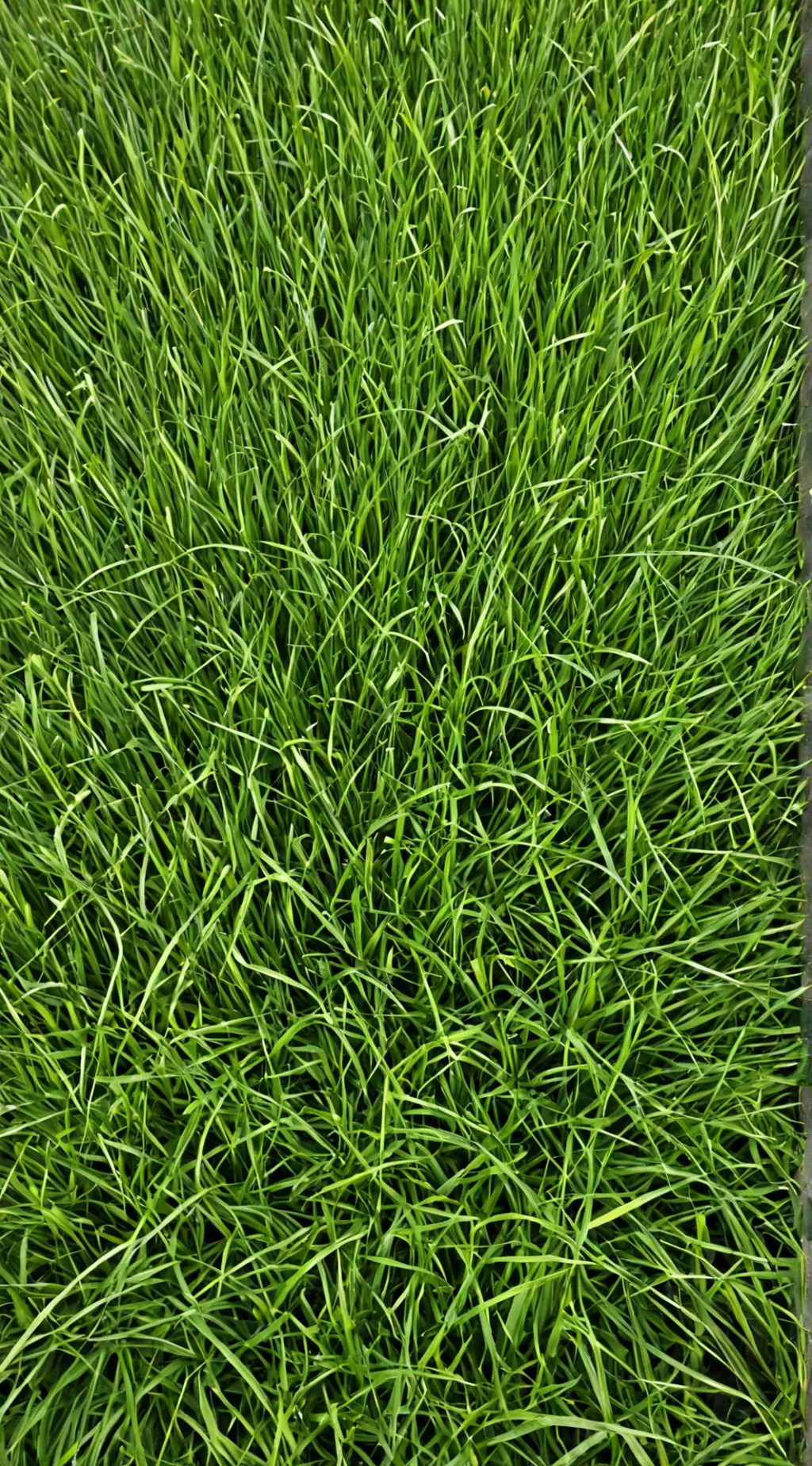 ai character: Grass 🖕💀 background