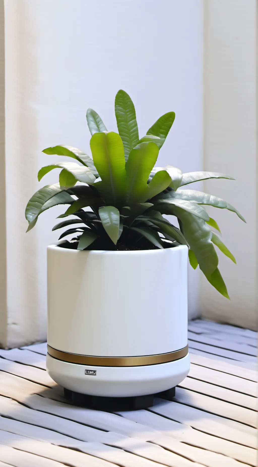 ai character: planti background