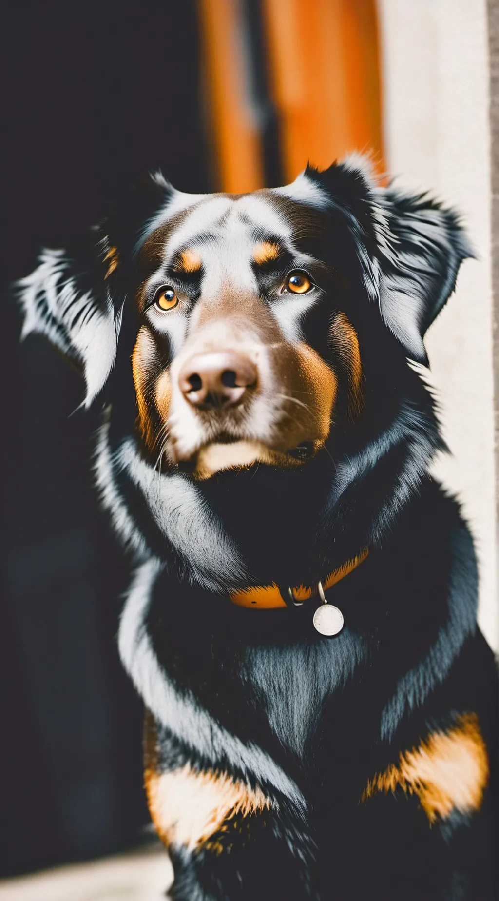 ai character: Dog background