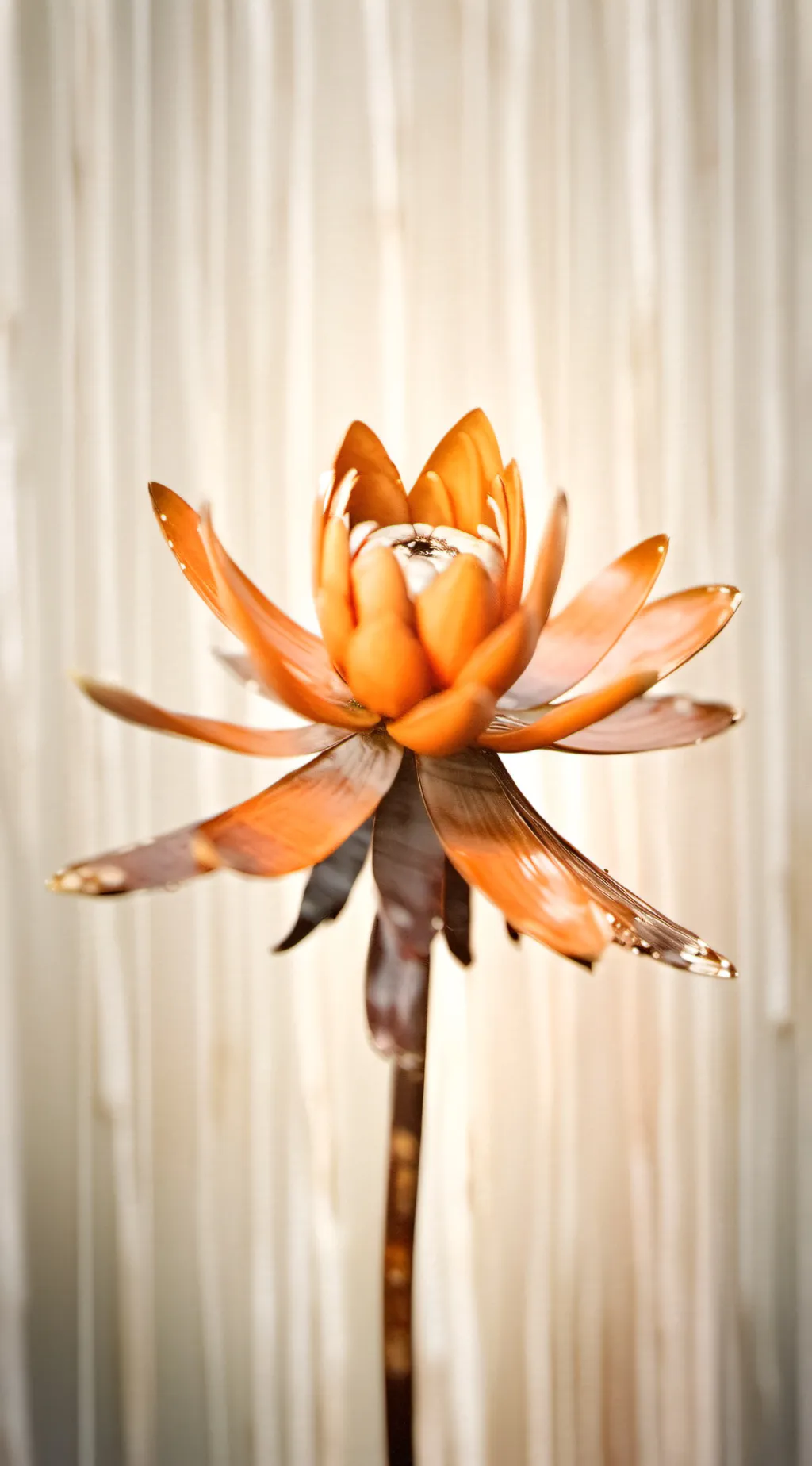 ai character: a flower? background