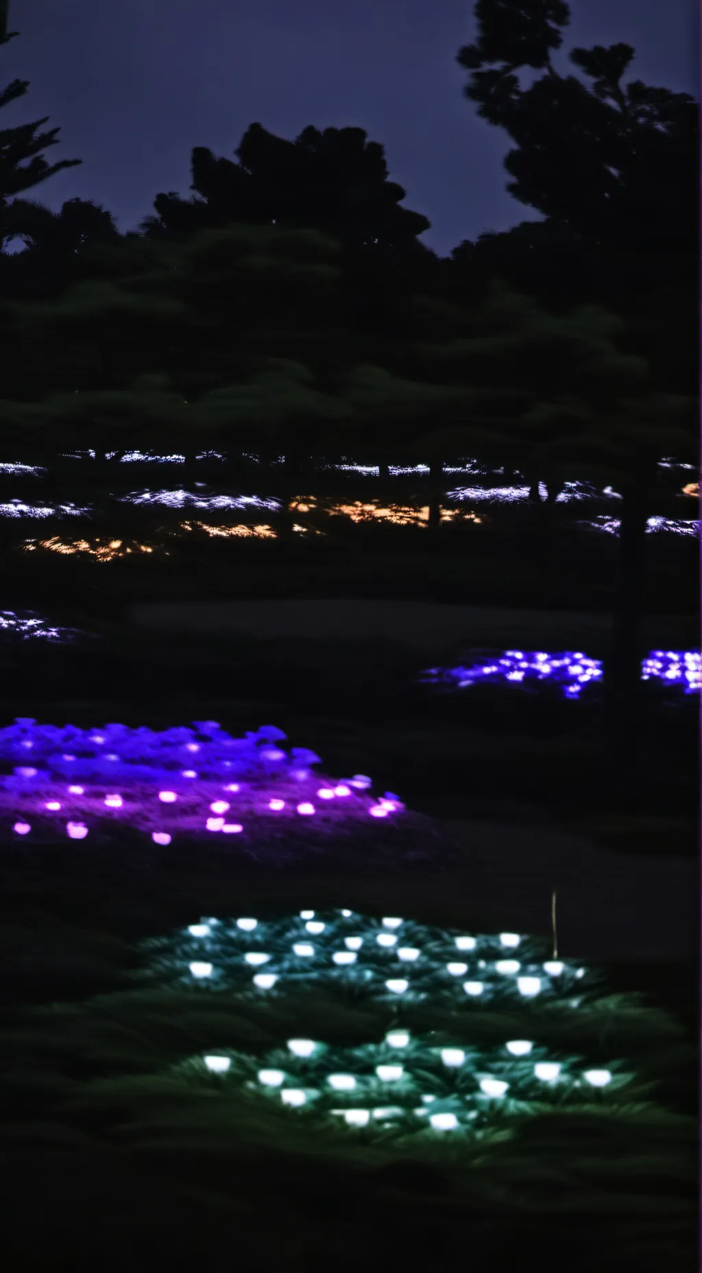 ai character: ur_local_lid background