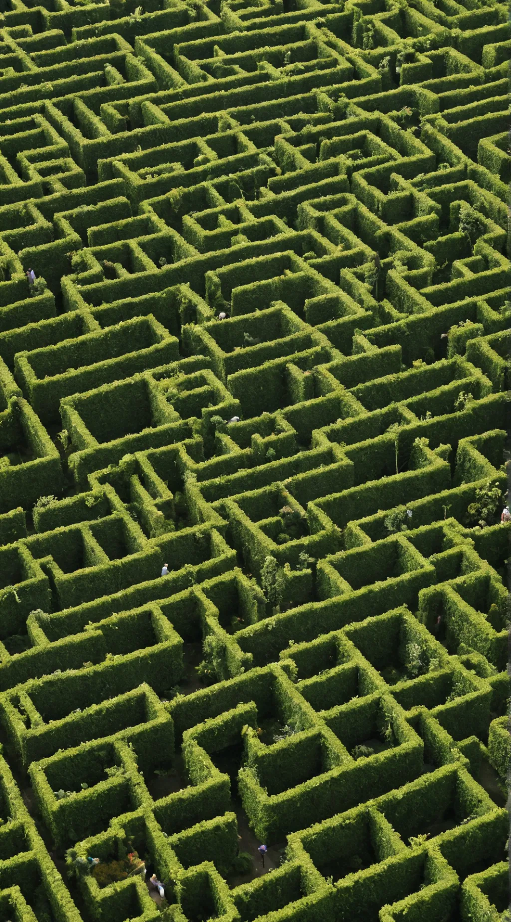 ai character: Made runner  background