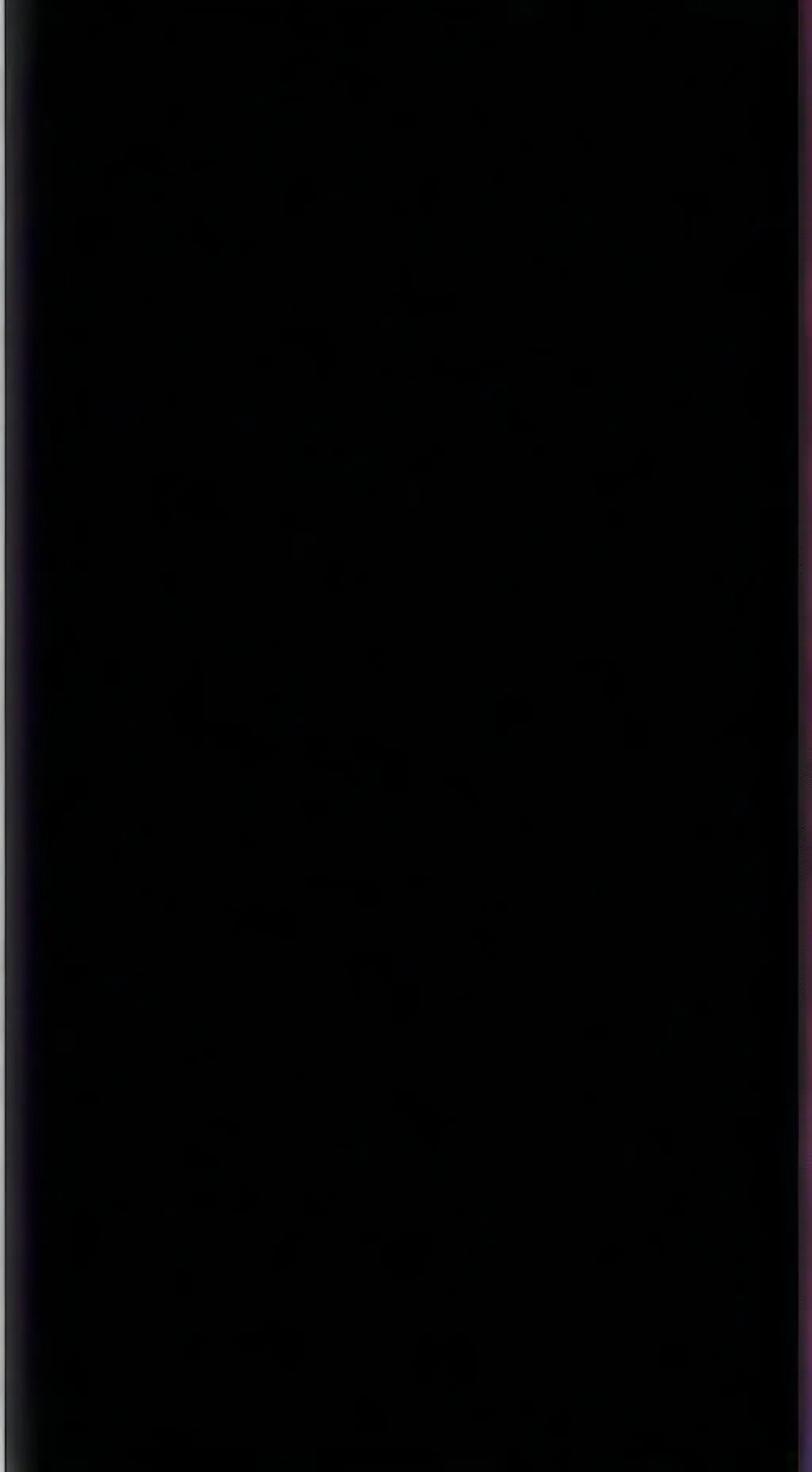 ai character: raiden ei background