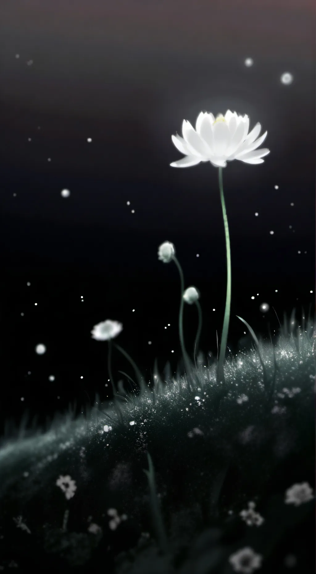 ai character: uppermoon kitty background