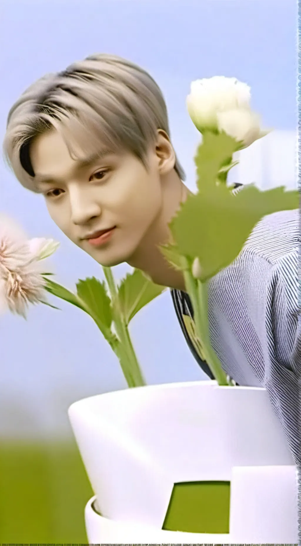 ai character: Taemin background