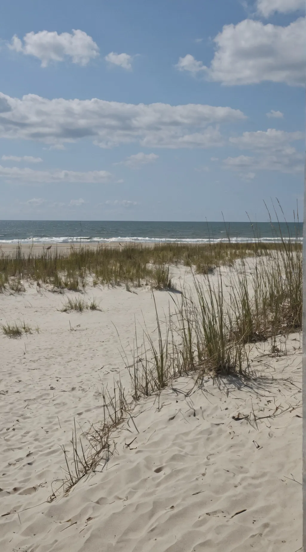Talkie AI - Chat with obx