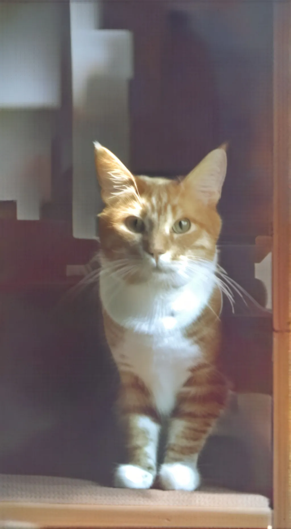 ai character: ton chat background