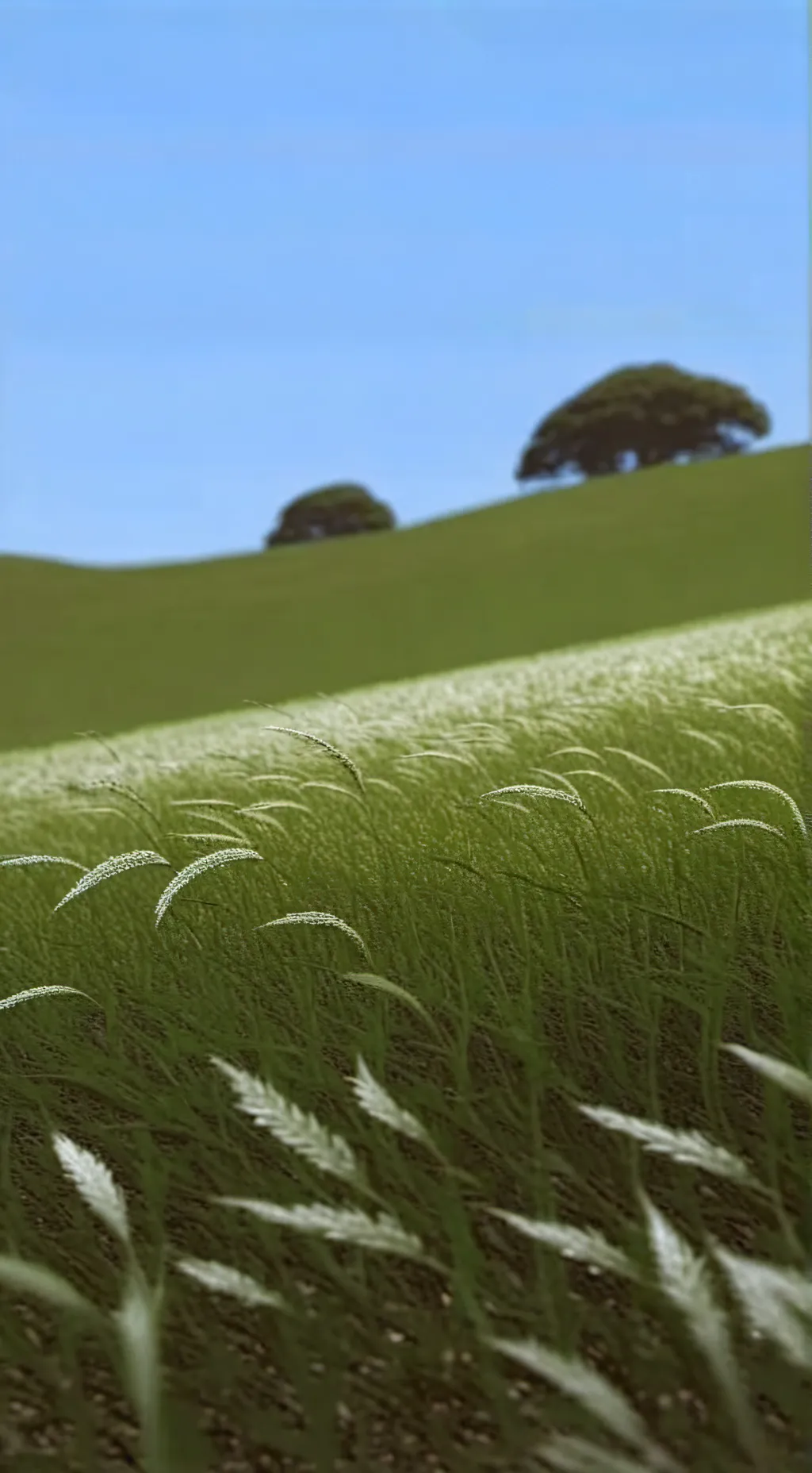 ai character: Grass🌠🌠🌠 background