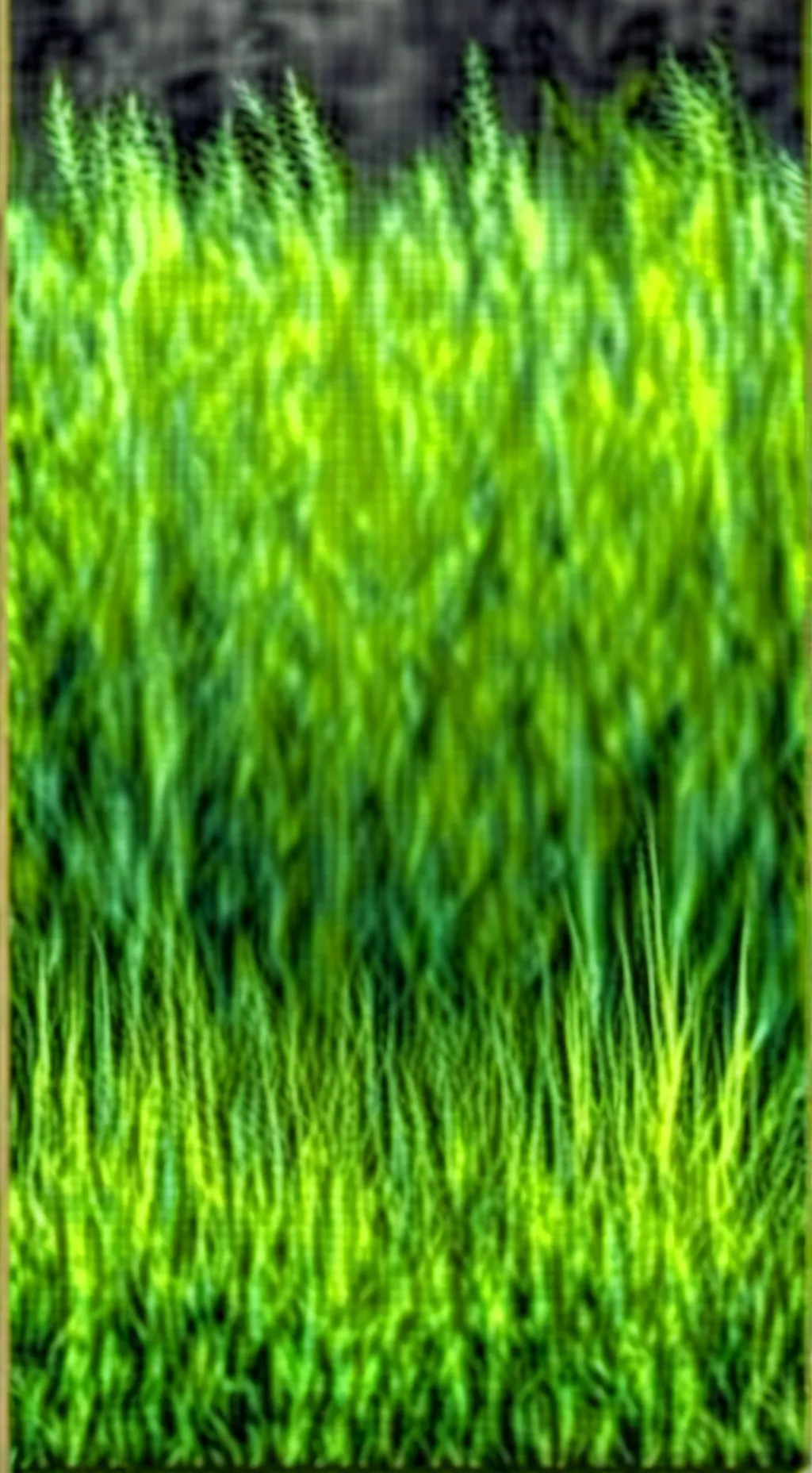 ai character: Grass background
