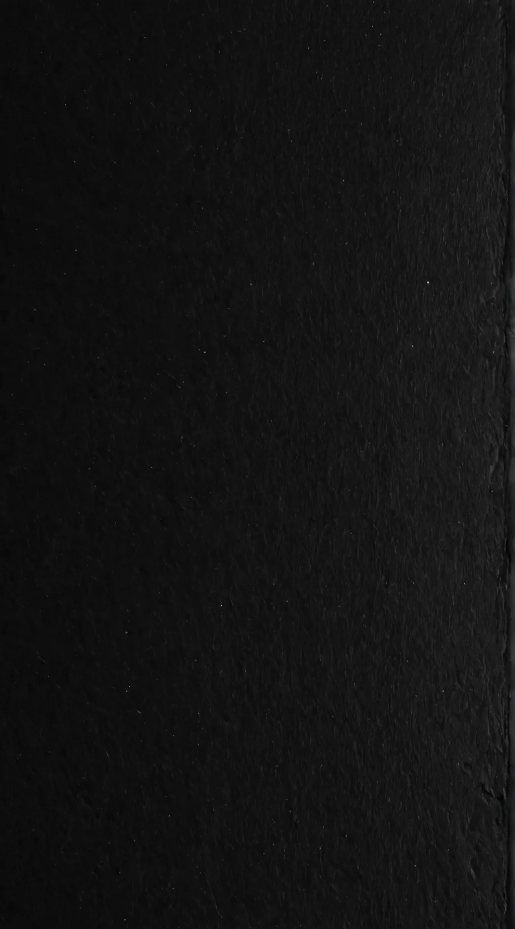 ai character: Poppy(PT chapter4) background