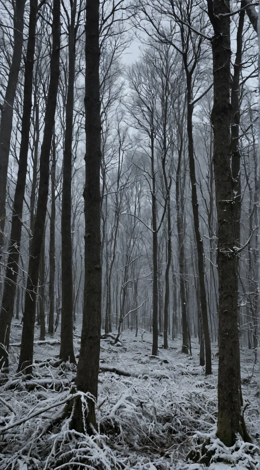 Talkie AI - Chat with CallofDuty Forest