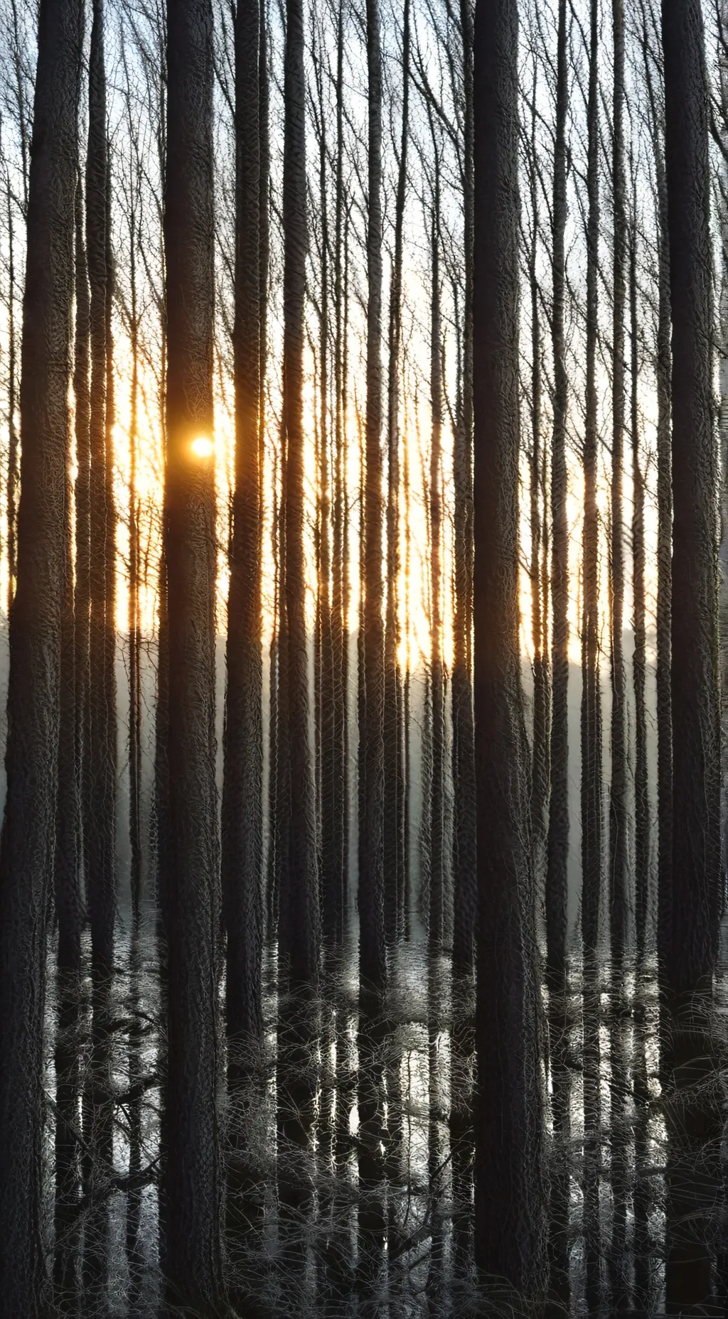 ai character: DW pick me background