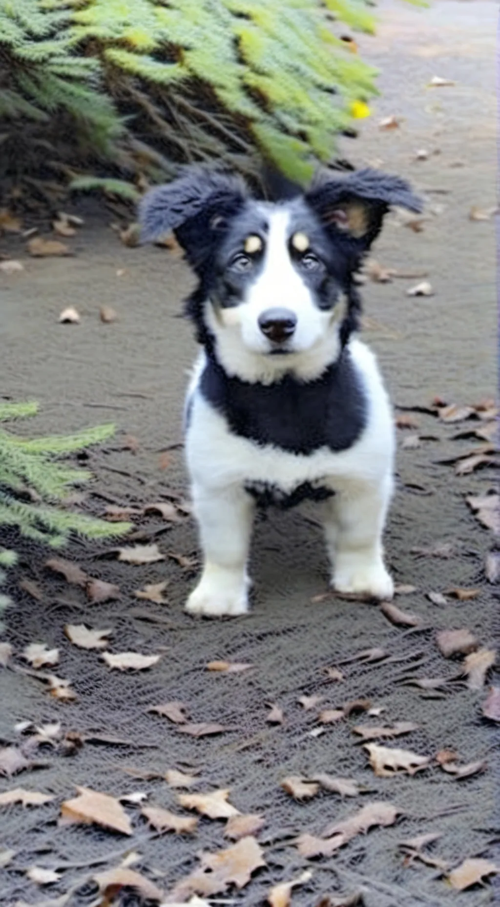 ai character: tsb weakest dummy background