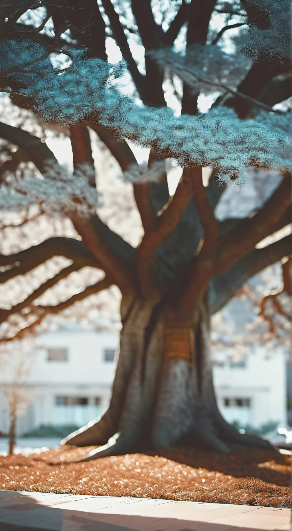 ai character: Mattheo 🙃 background