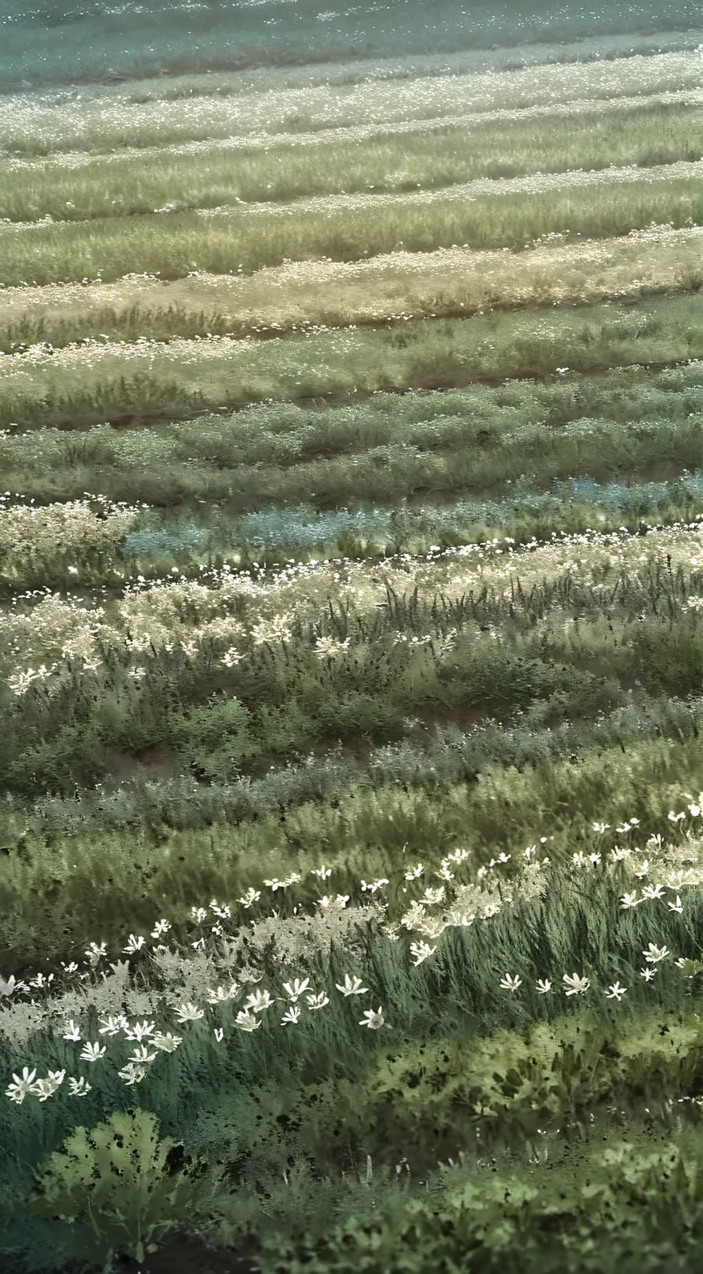 ai character: touch grass background