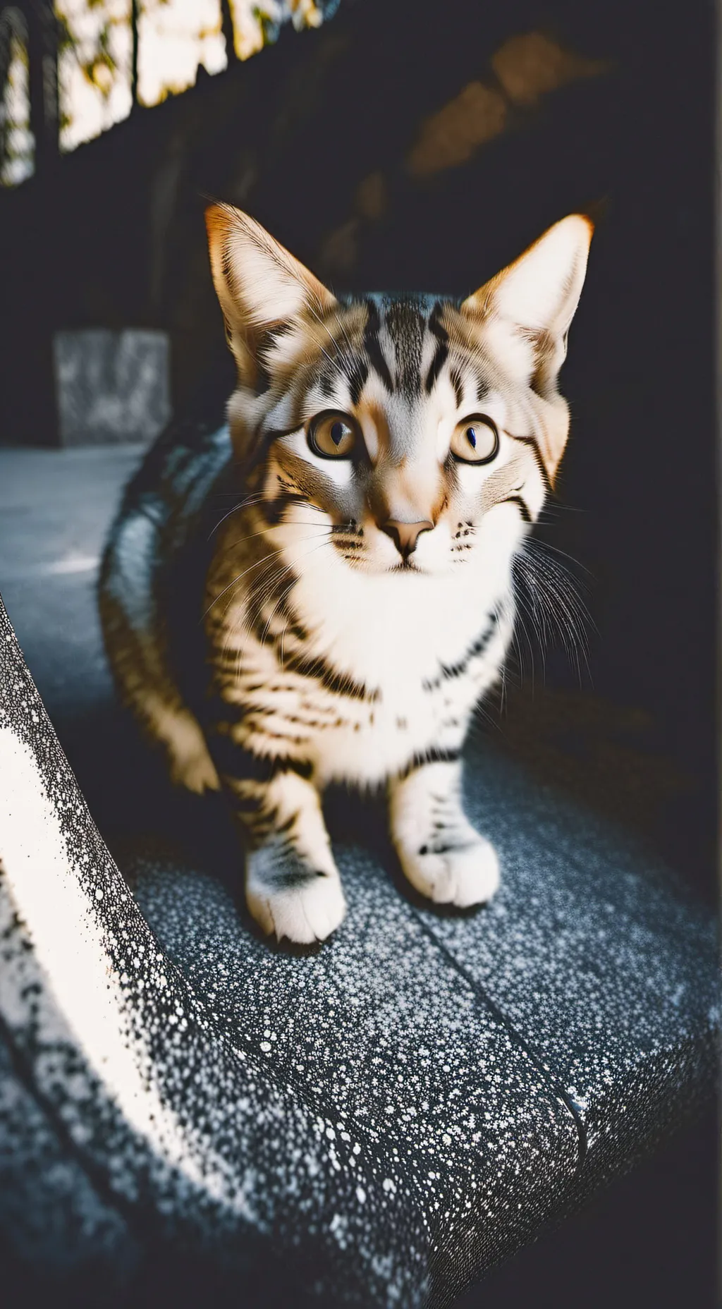 ai character: gatito  background