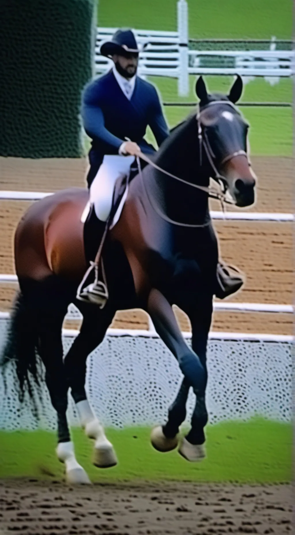 ai character: serenity. horse background