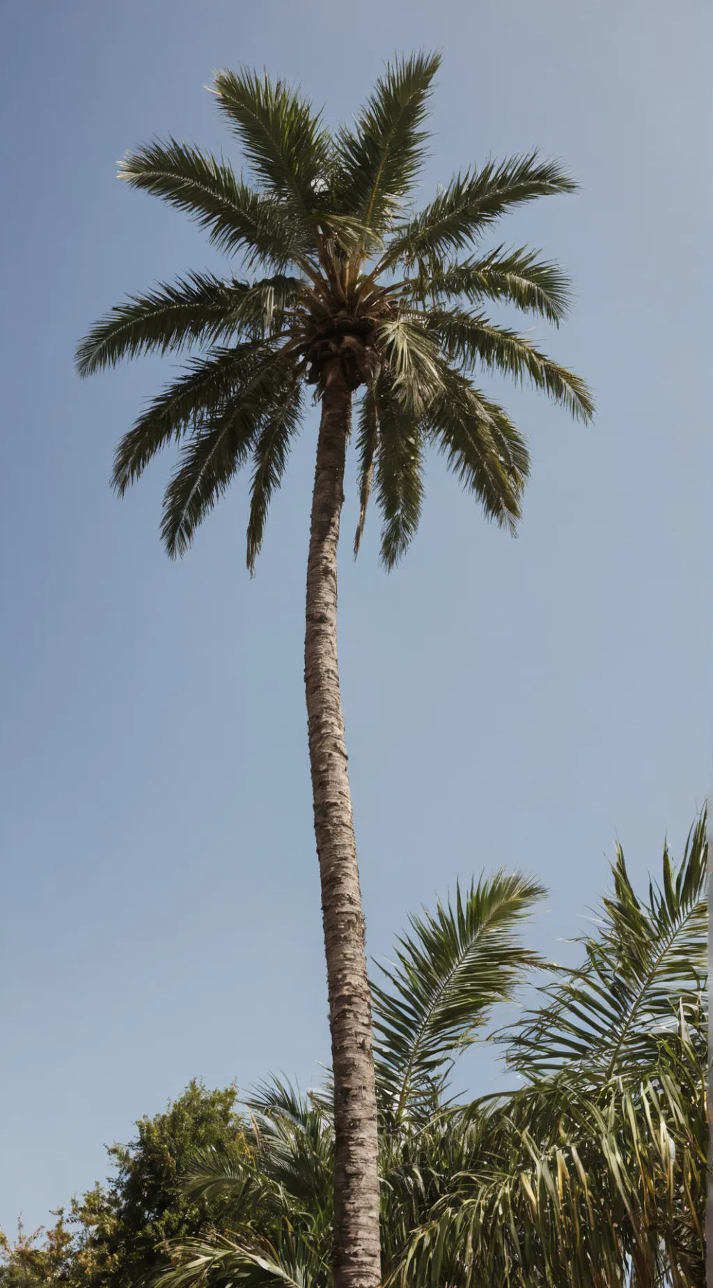 ai character: palm tree background